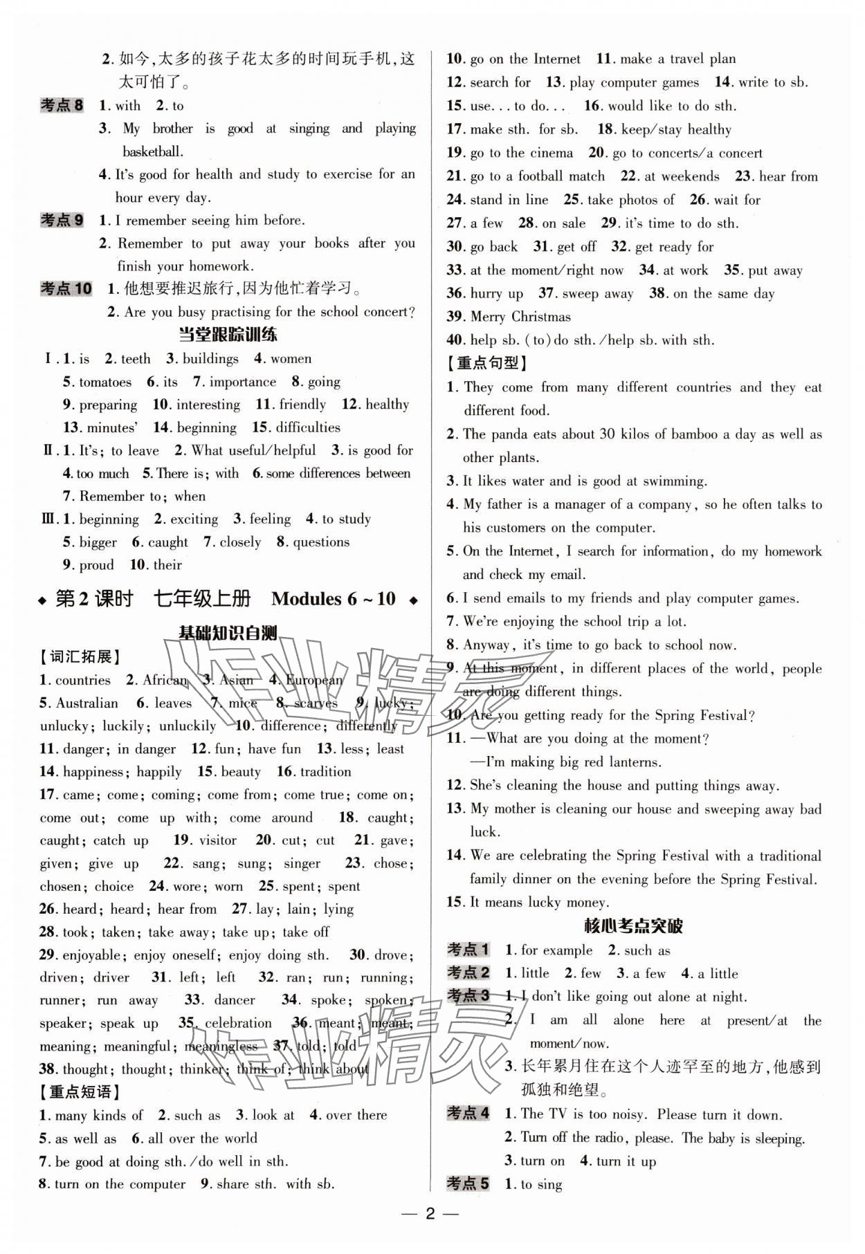 2025年中考对策英语外研版潍坊专版 参考答案第2页