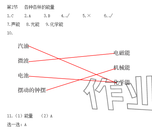 2024年科學(xué)素養(yǎng)提升六年級下冊蘇教版 參考答案第2頁