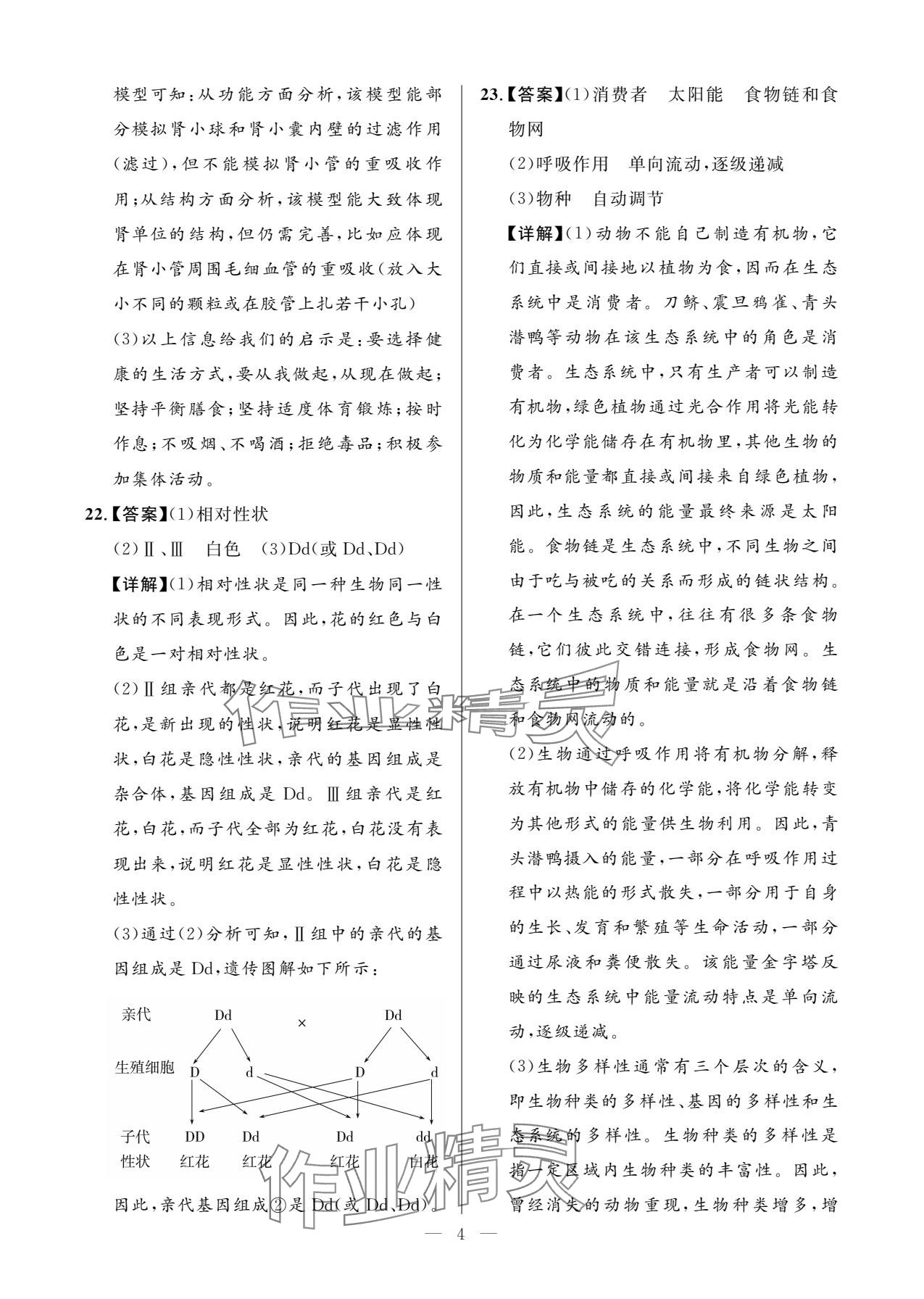 2025年全优金卷生物甘肃专版&nbsp;参考答案第4页