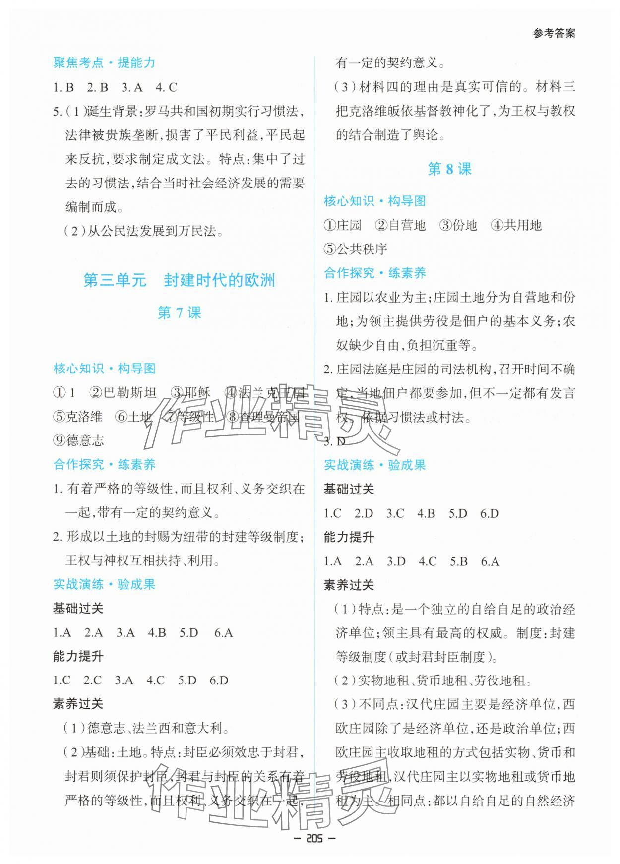 2025年新课堂同步学习与探究九年级历史全一册人教版 第5页