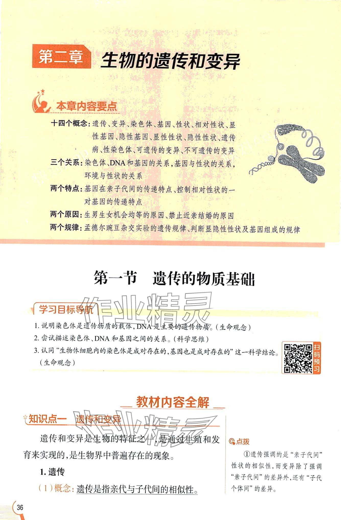 2024年教材課本八年級生物下冊魯科版五四制 第36頁