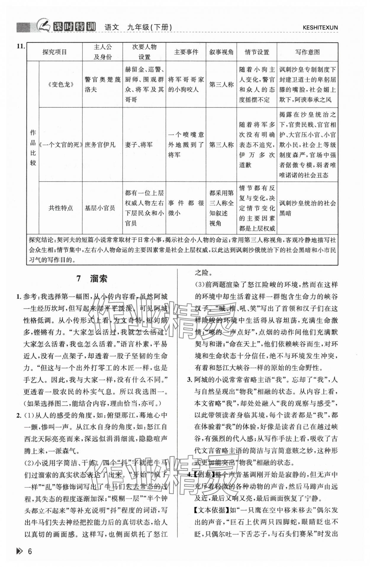 2024年浙江新课程三维目标测评课时特训九年级语文下册人教版 参考答案第6页