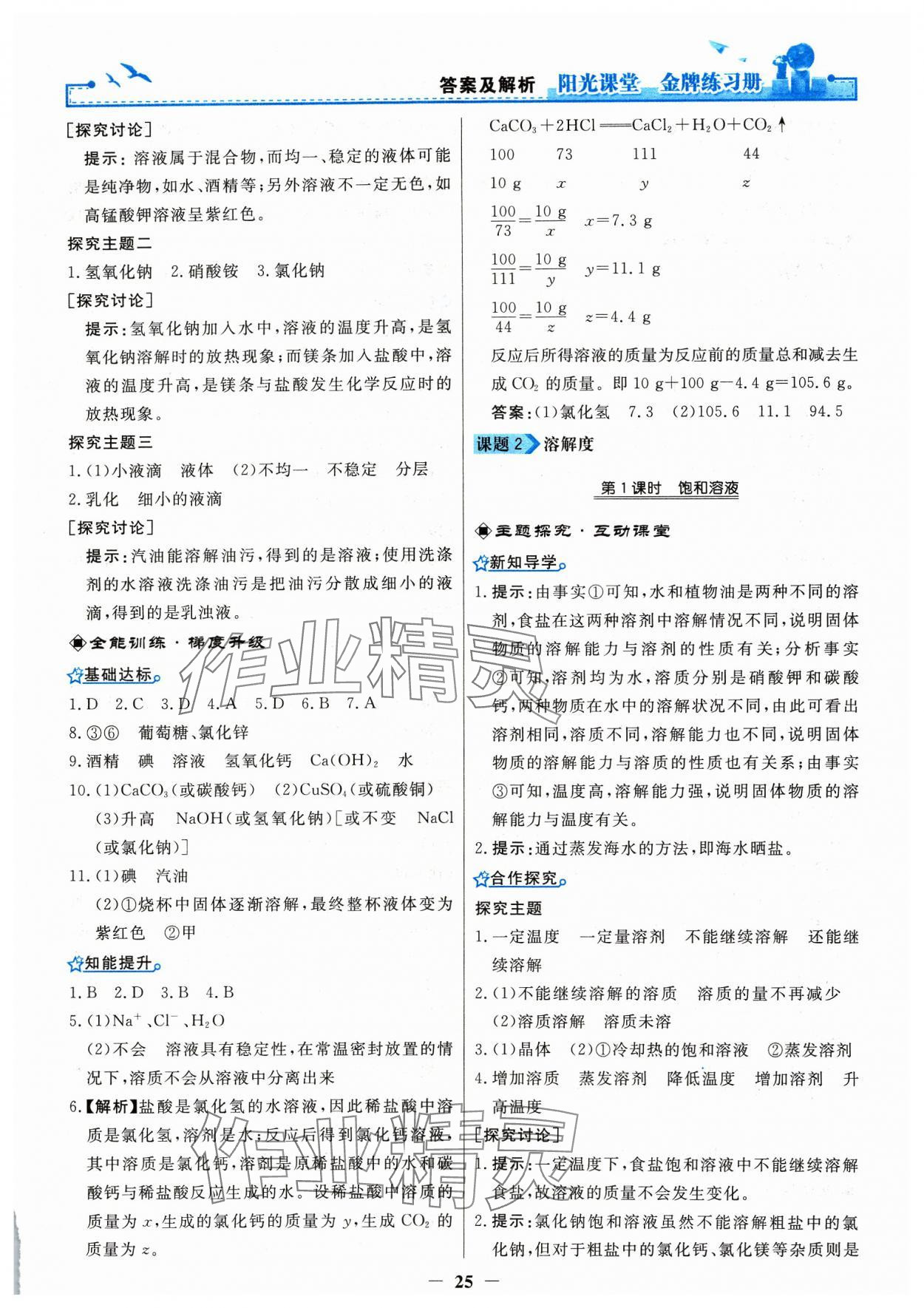 2024年陽光課堂金牌練習(xí)冊九年級化學(xué)下冊人教版 第5頁