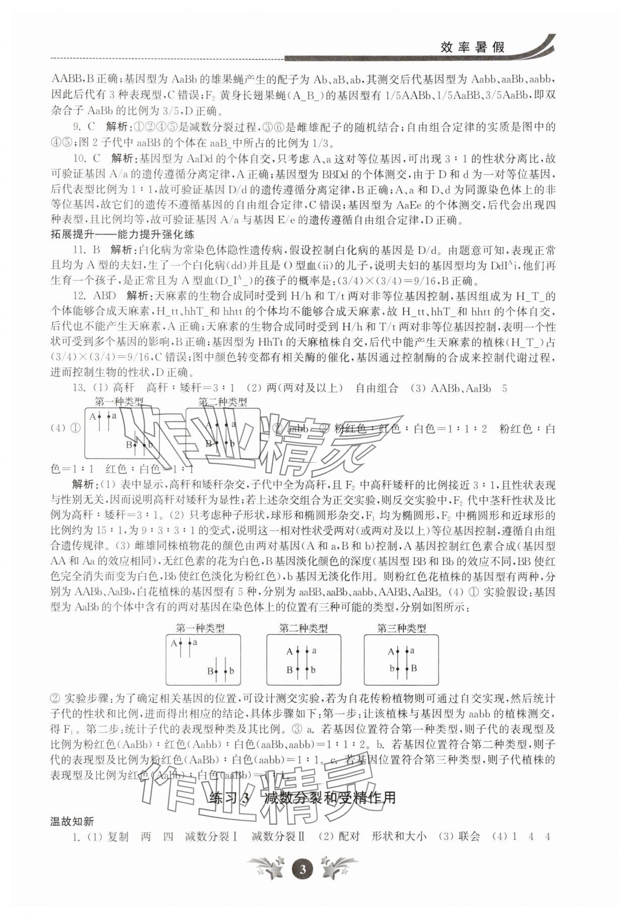 2025年效率暑假江苏人民出版社高一生物 第3页