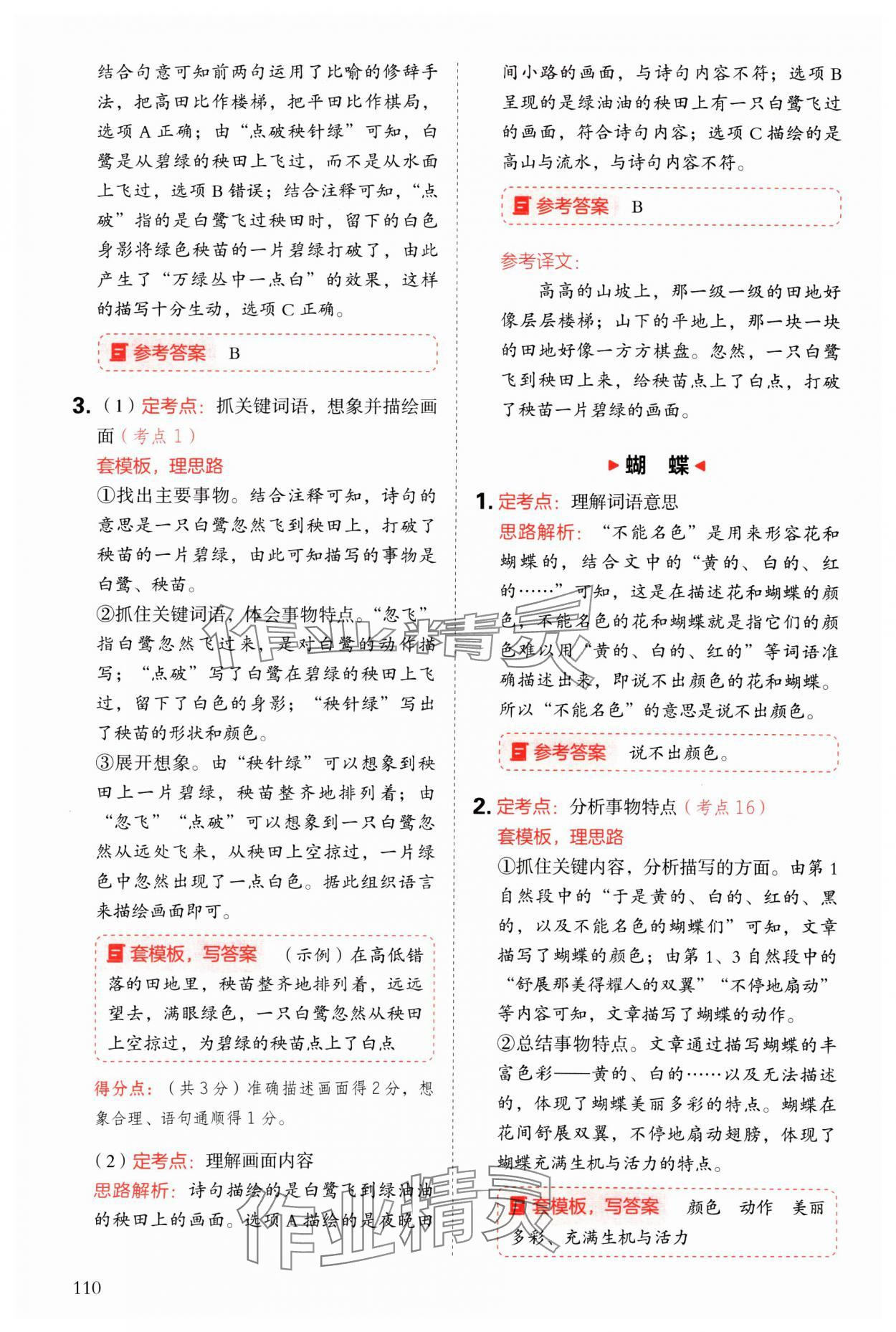2025年閱讀理解與答題模板三年級語文下冊人教版 參考答案第2頁