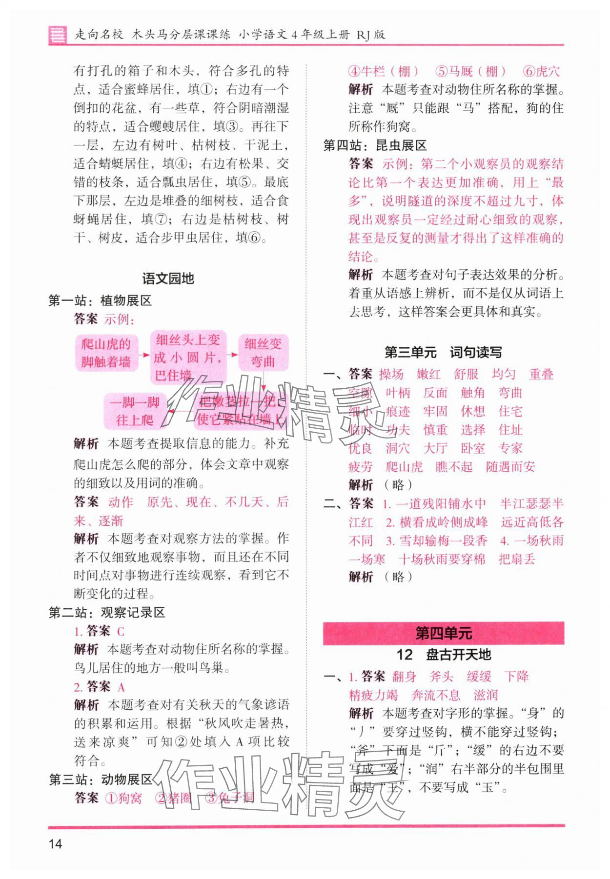 2025年木头马分层课课练四年级语文上册人教版浙江专版 第14页