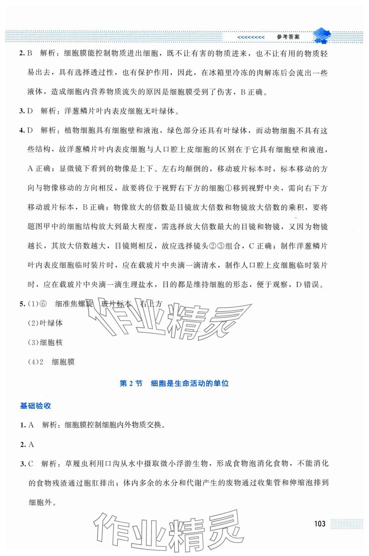 2025年课堂精练七年级生物上册北师大版贵州专版 第5页