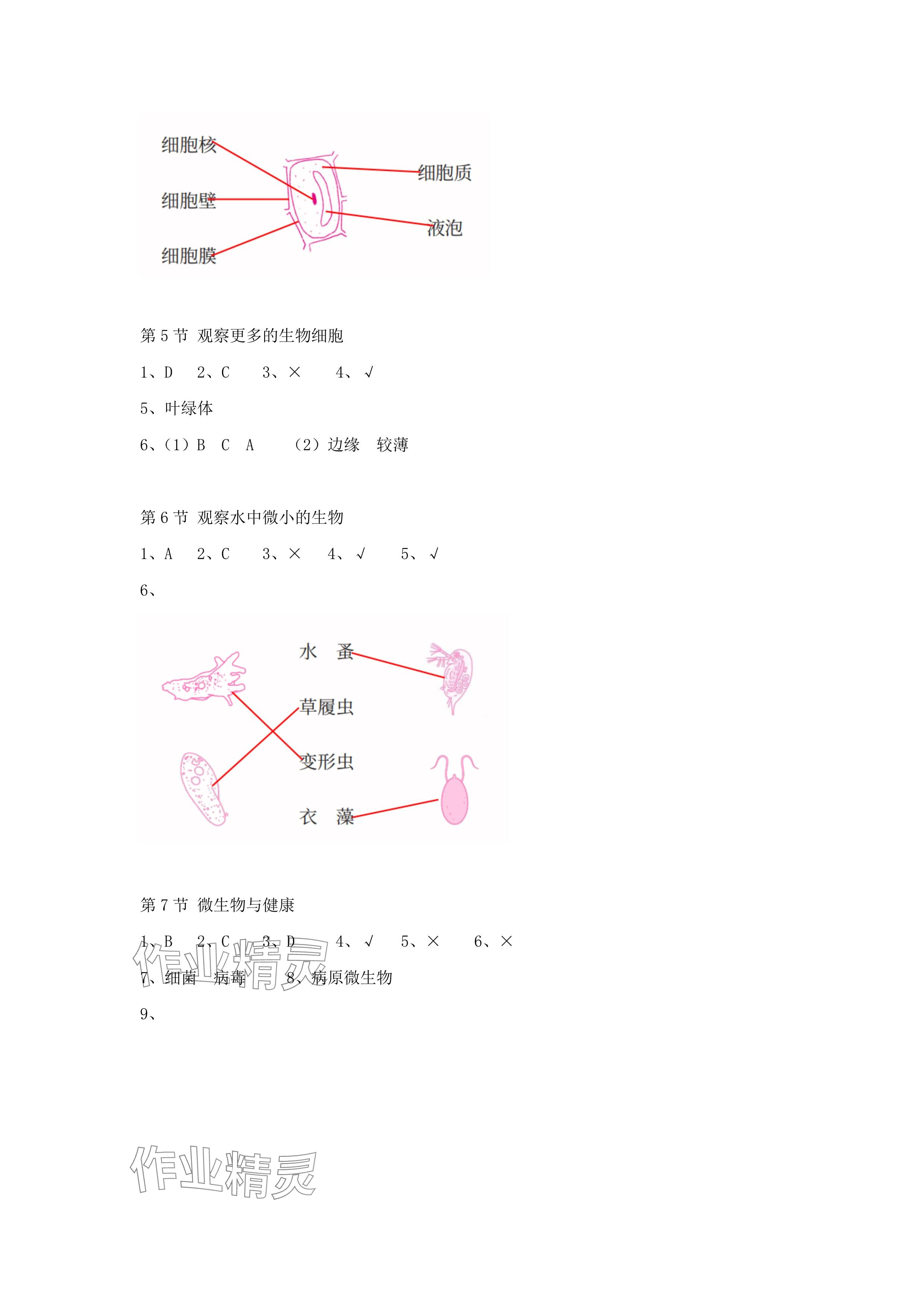 2024年科學課課練六年級上冊教科版 參考答案第2頁