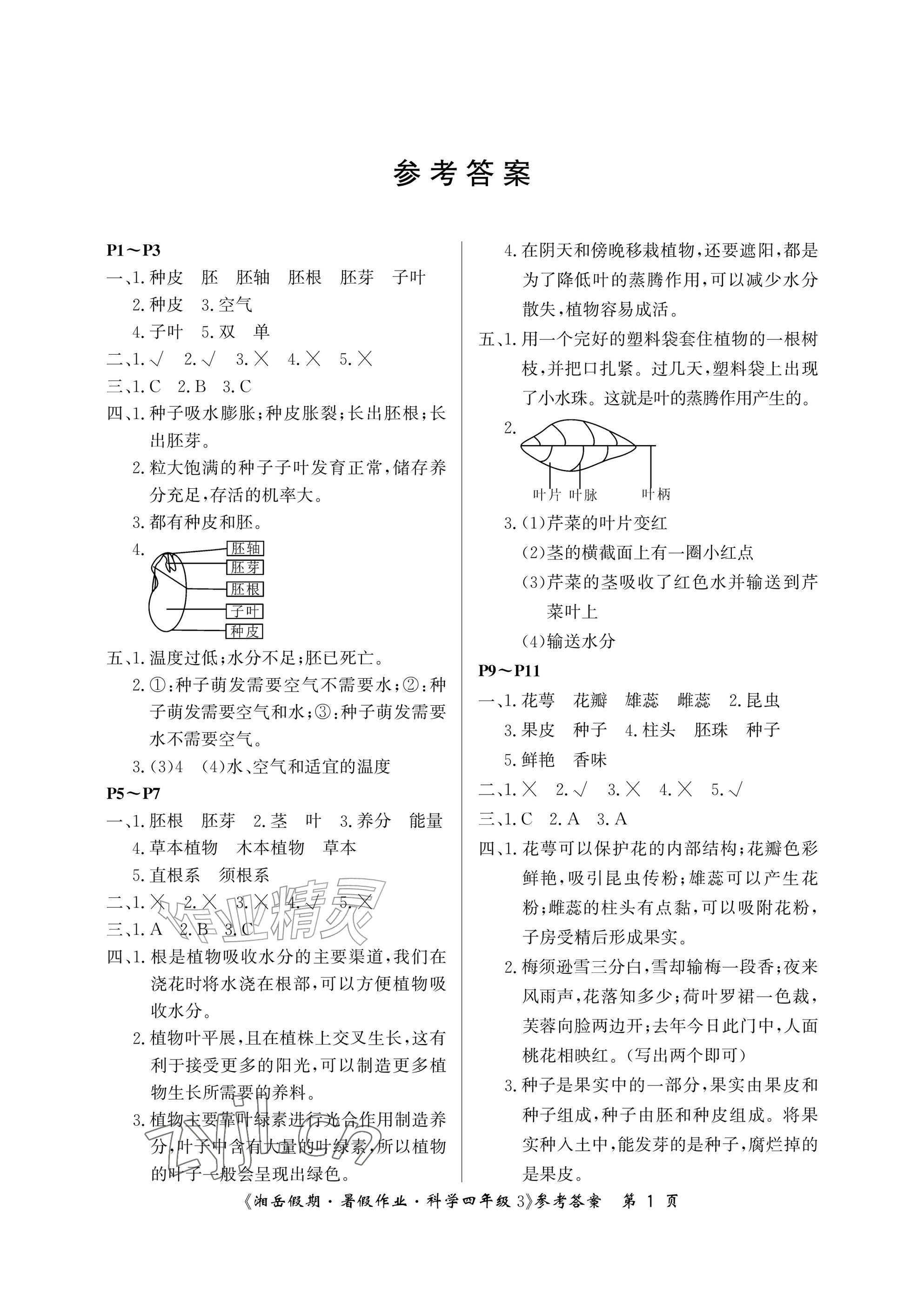 2026年湘岳假期暑假作业四年级科学教科版&nbsp;参考答案第1页