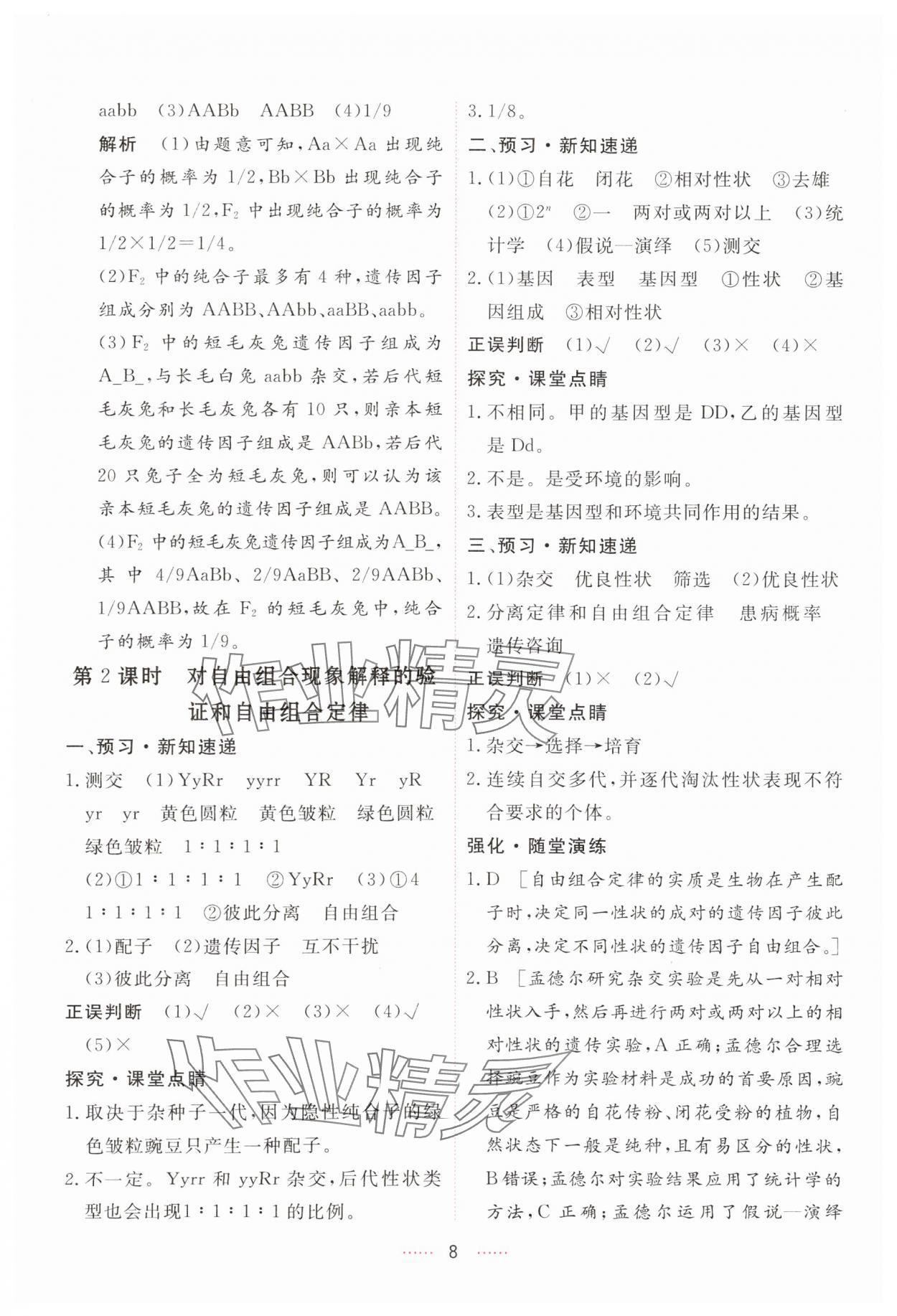 2024年三維隨堂精練高中生物必修2人教版 第8頁