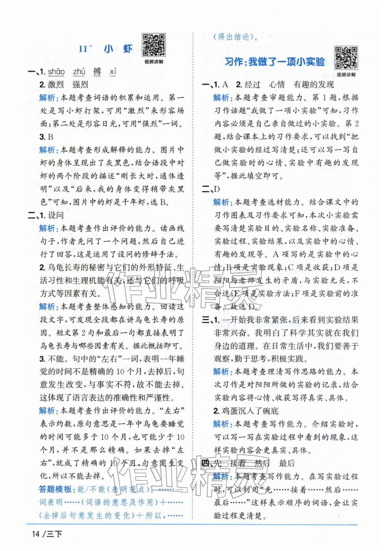 2026年阳光同学课时优化作业三年级语文下册人教版山东专版&nbsp;第14页