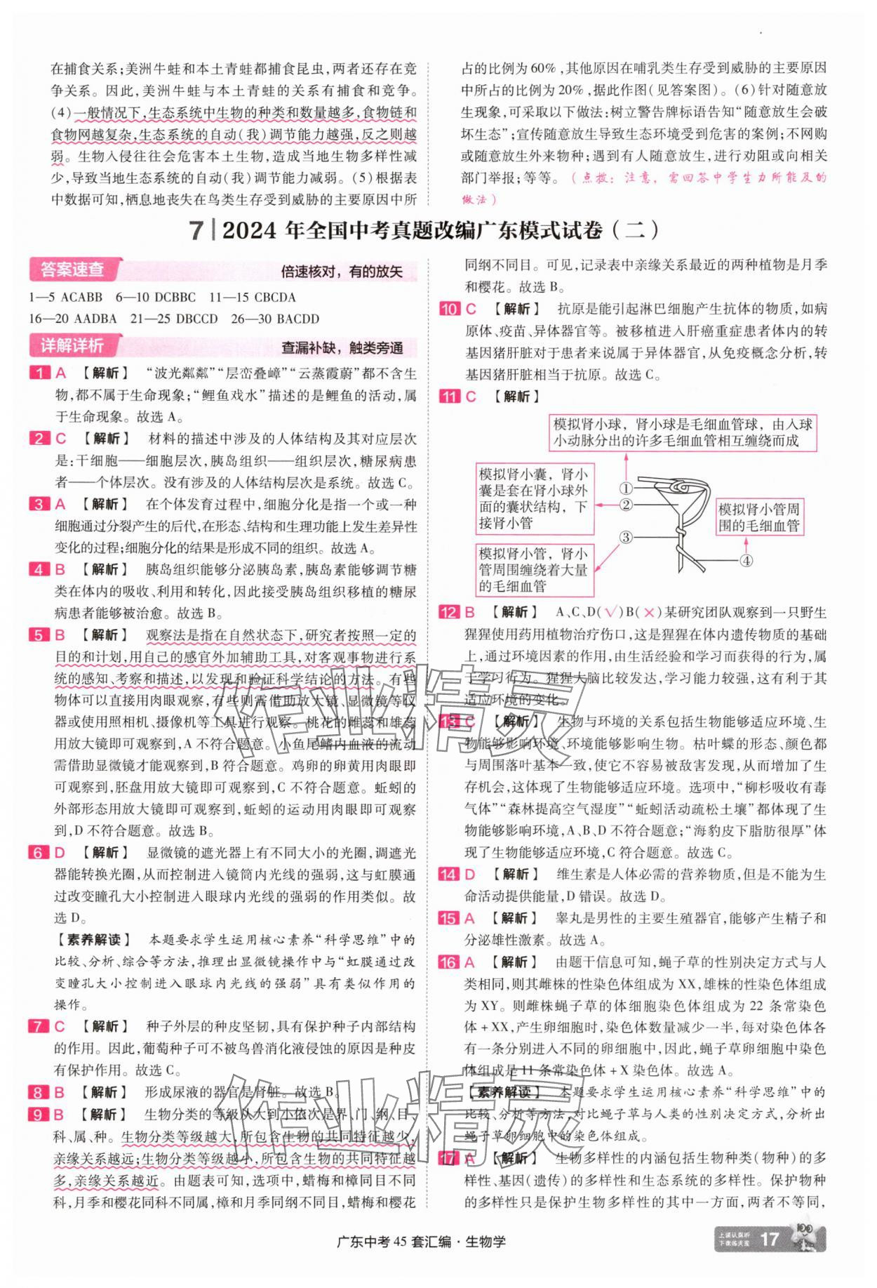 2025年金考卷45套匯編生物廣東專版 第17頁