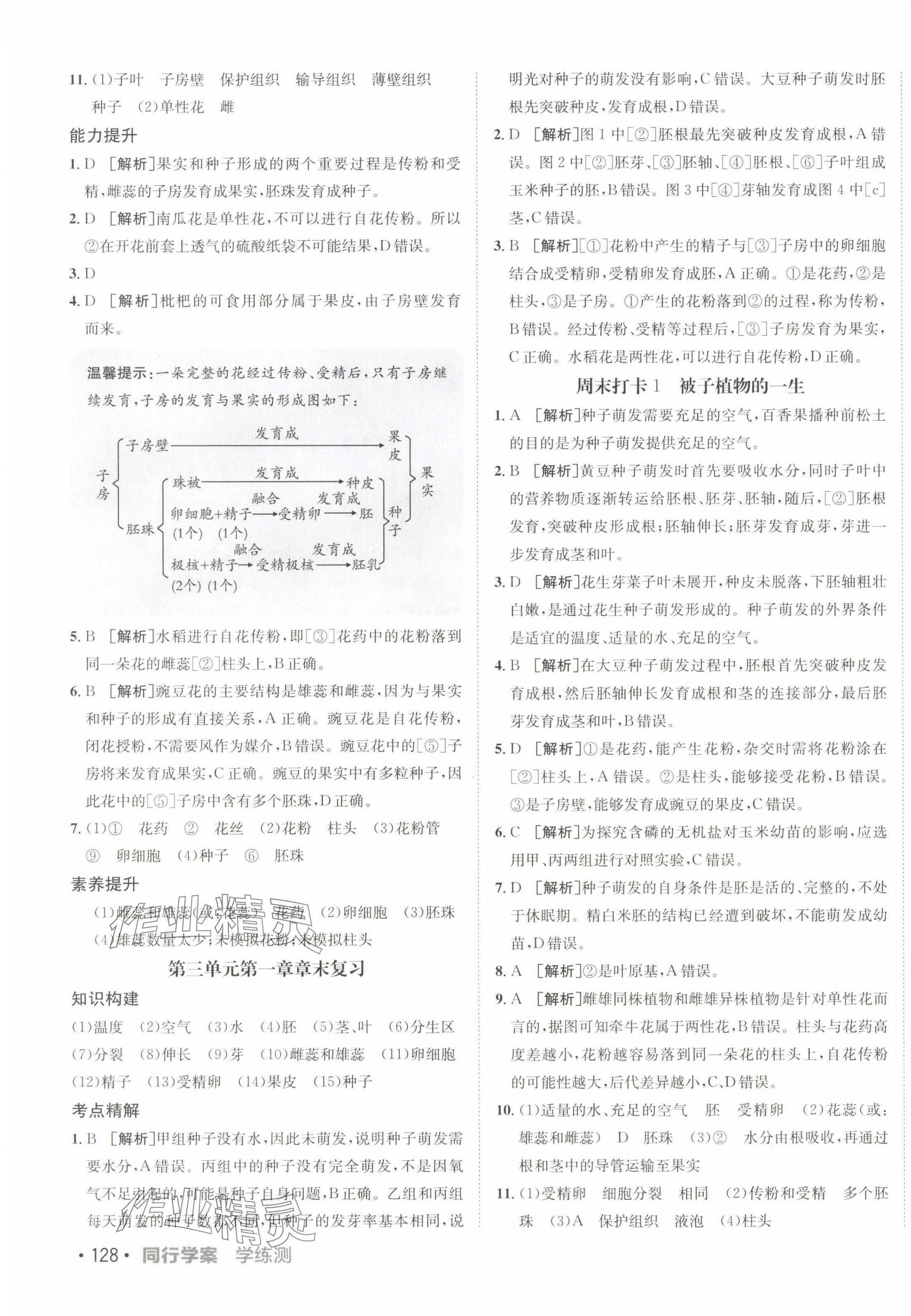 2025年同行學(xué)案七年級(jí)生物下冊(cè)人教版 第3頁(yè)