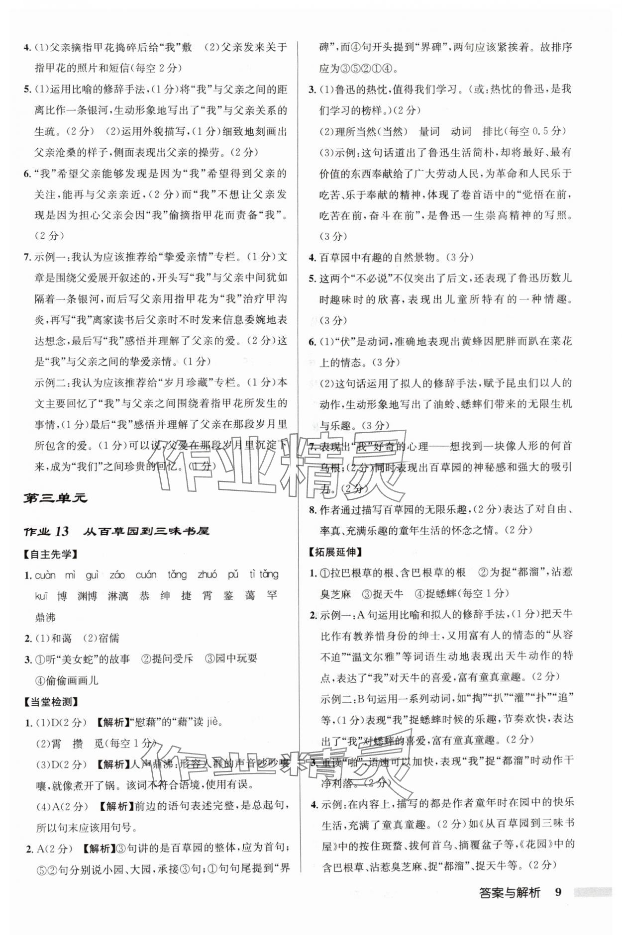 2024年啟東中學(xué)作業(yè)本七年級語文上冊人教版鹽城專版 參考答案第9頁