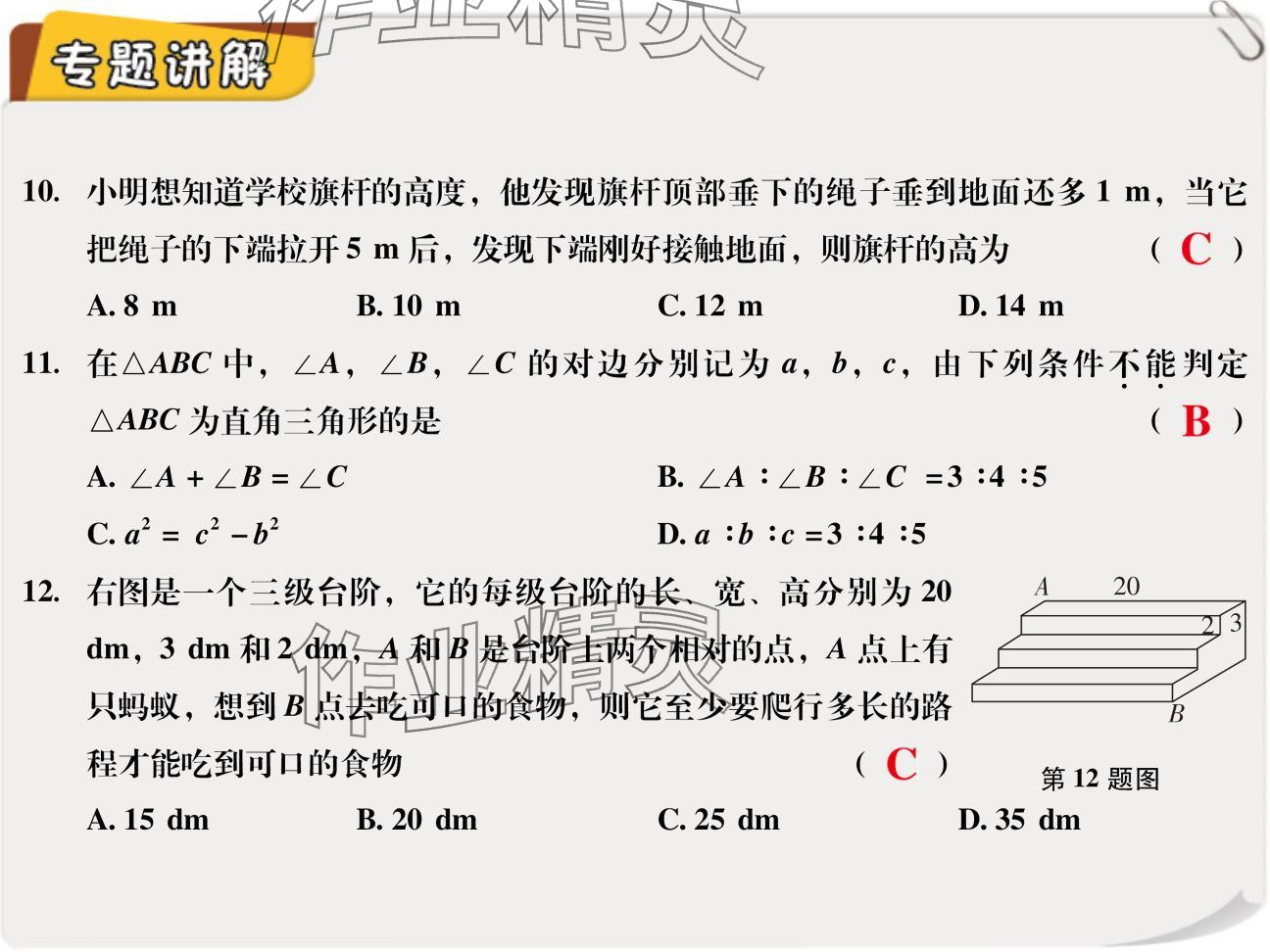 2024年复习直通车期末复习与假期作业八年级数学北师大版 参考答案第15页