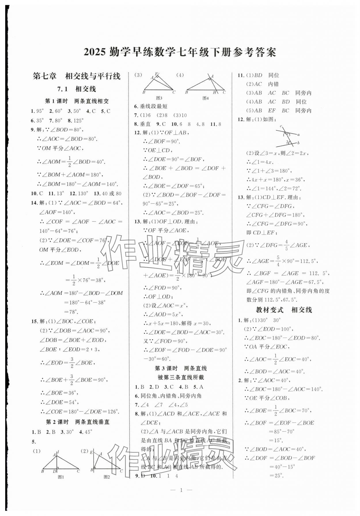 2025年勤学早练校本作业七年级数学下册人教版 第1页