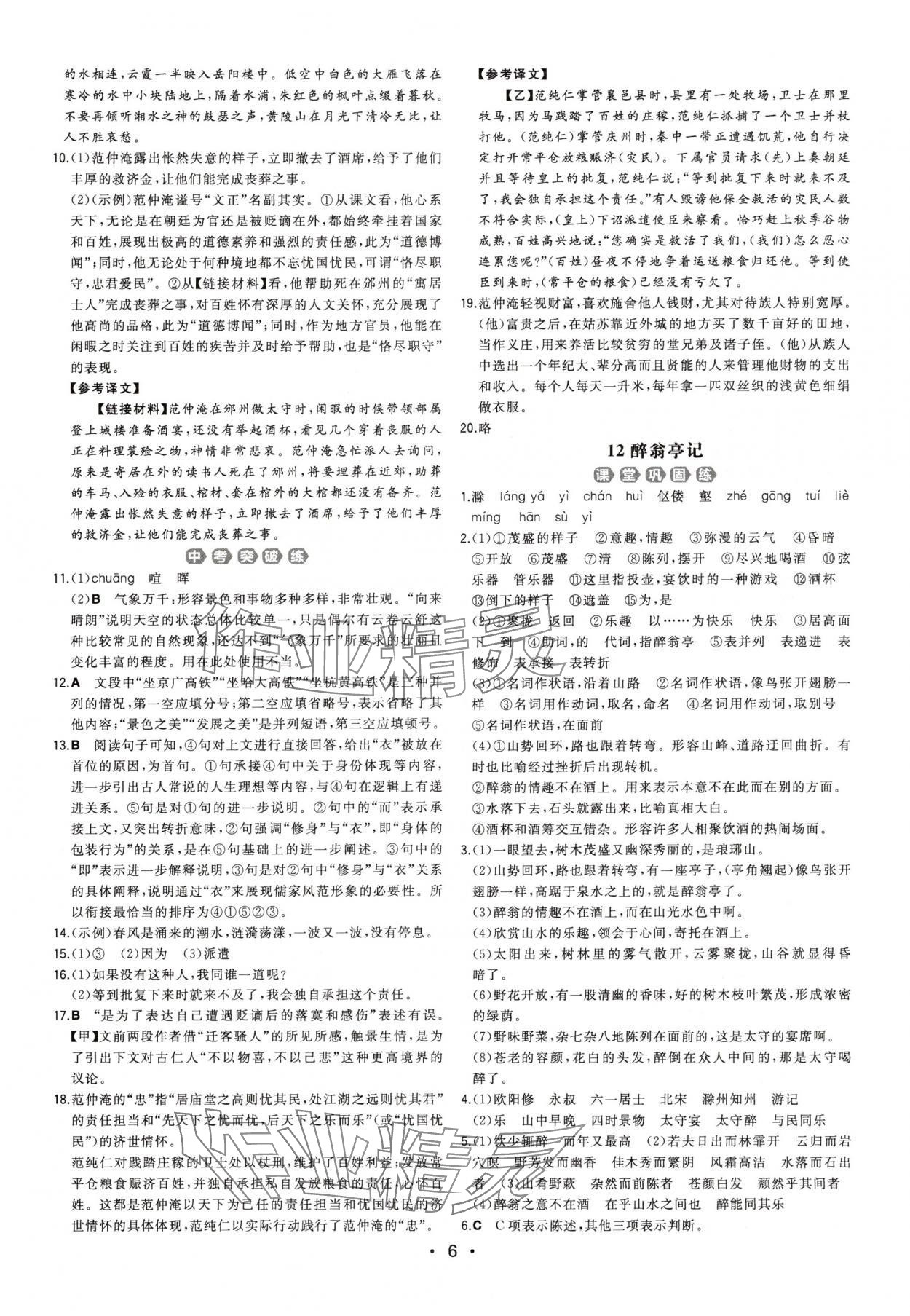 2025年一本同步訓(xùn)練九年級(jí)語(yǔ)文全一冊(cè)人教版重慶專(zhuān)版 第6頁(yè)