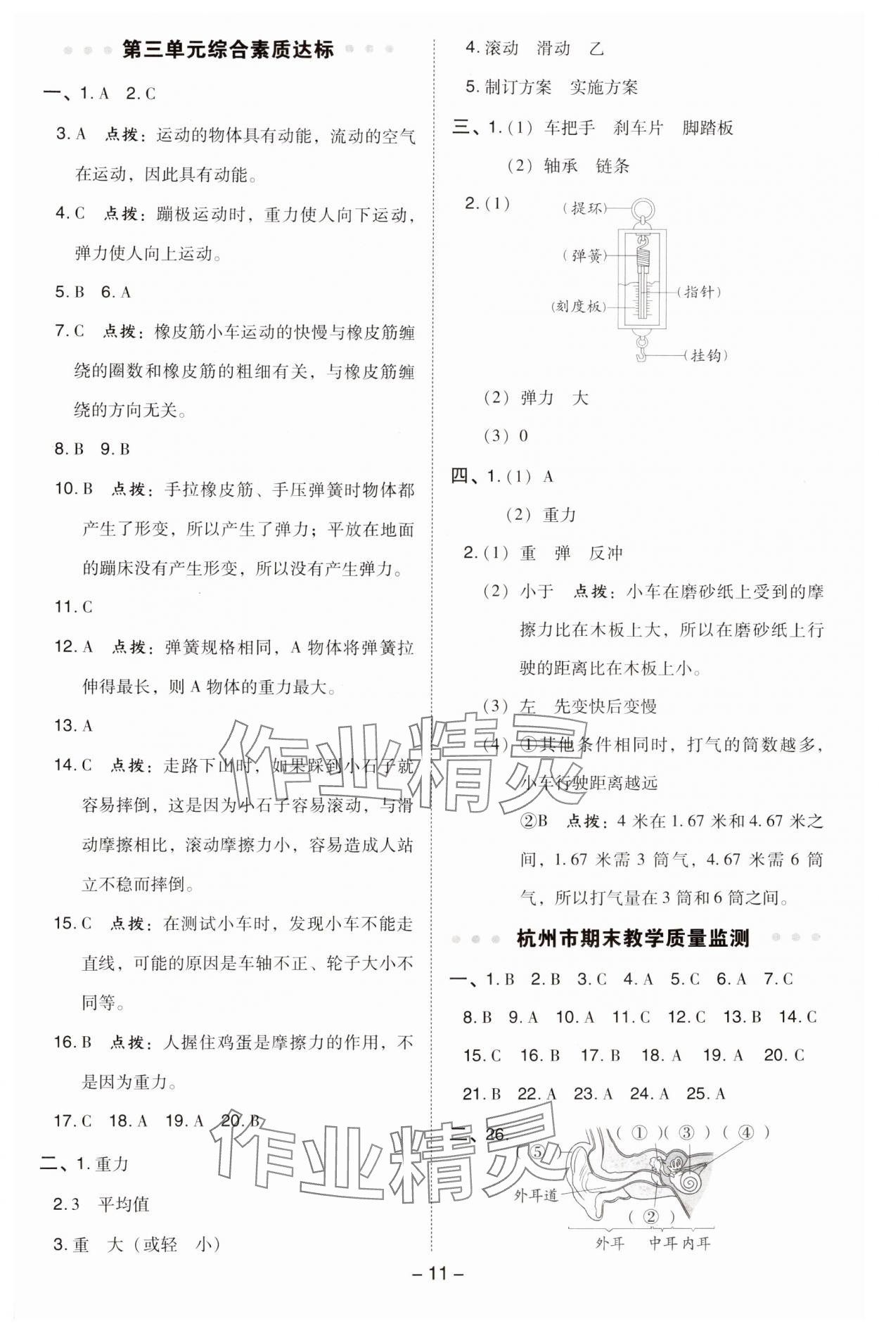 2024年綜合應(yīng)用創(chuàng)新題典中點四年級科學(xué)上冊教科版 參考答案第11頁