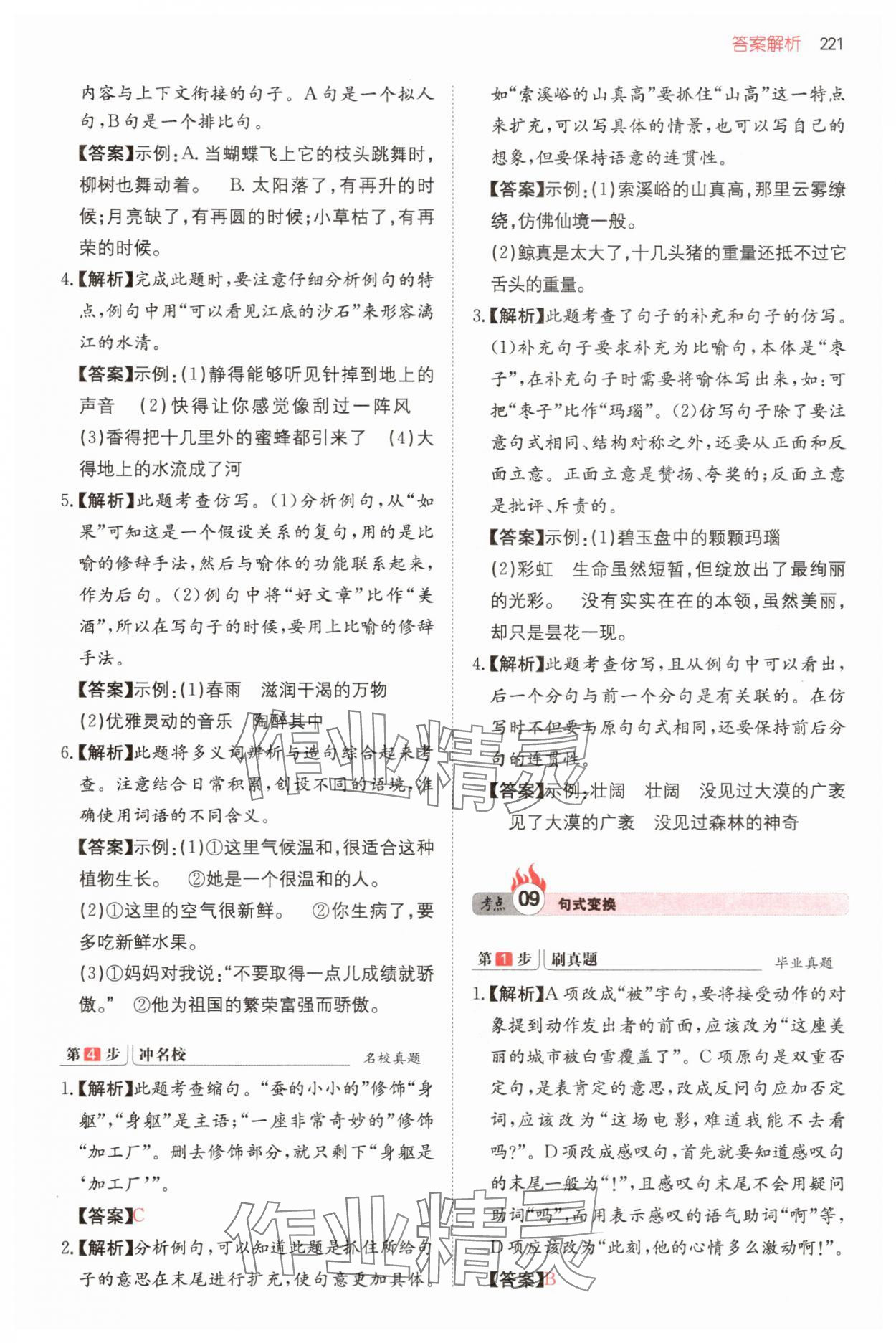 2025年一本名校沖刺必備方案六年級語文 第11頁