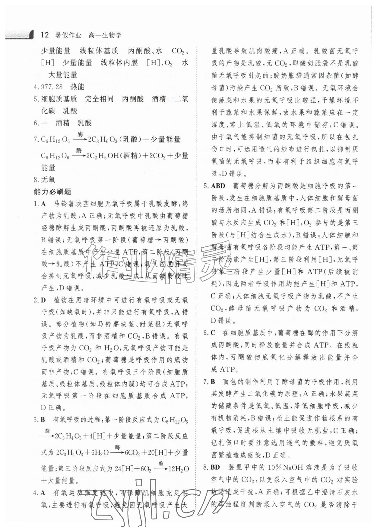 2026年金版新学案暑假作业高一生物&nbsp;参考答案第11页