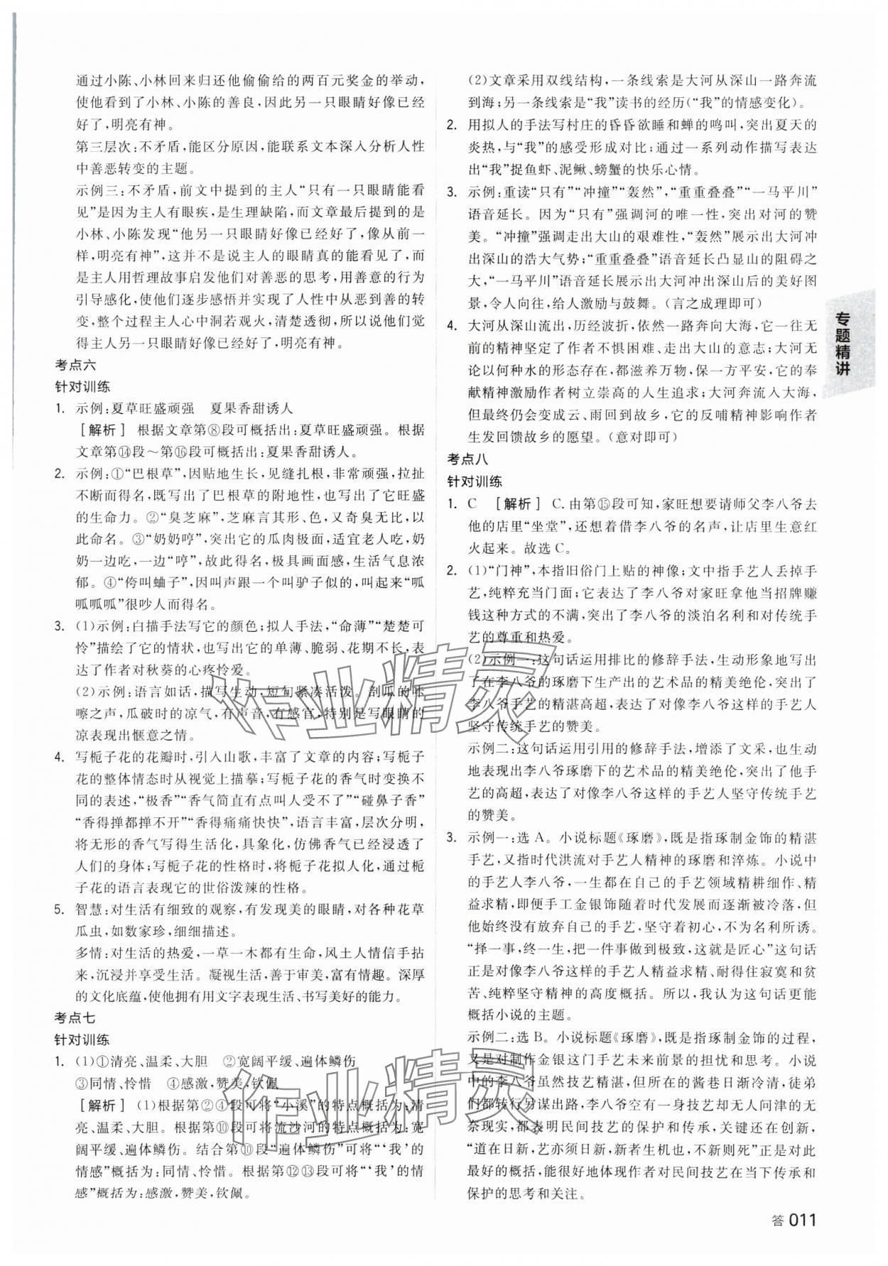 2025年全品中考復(fù)習(xí)方案語(yǔ)文湖南專版 參考答案第10頁(yè)