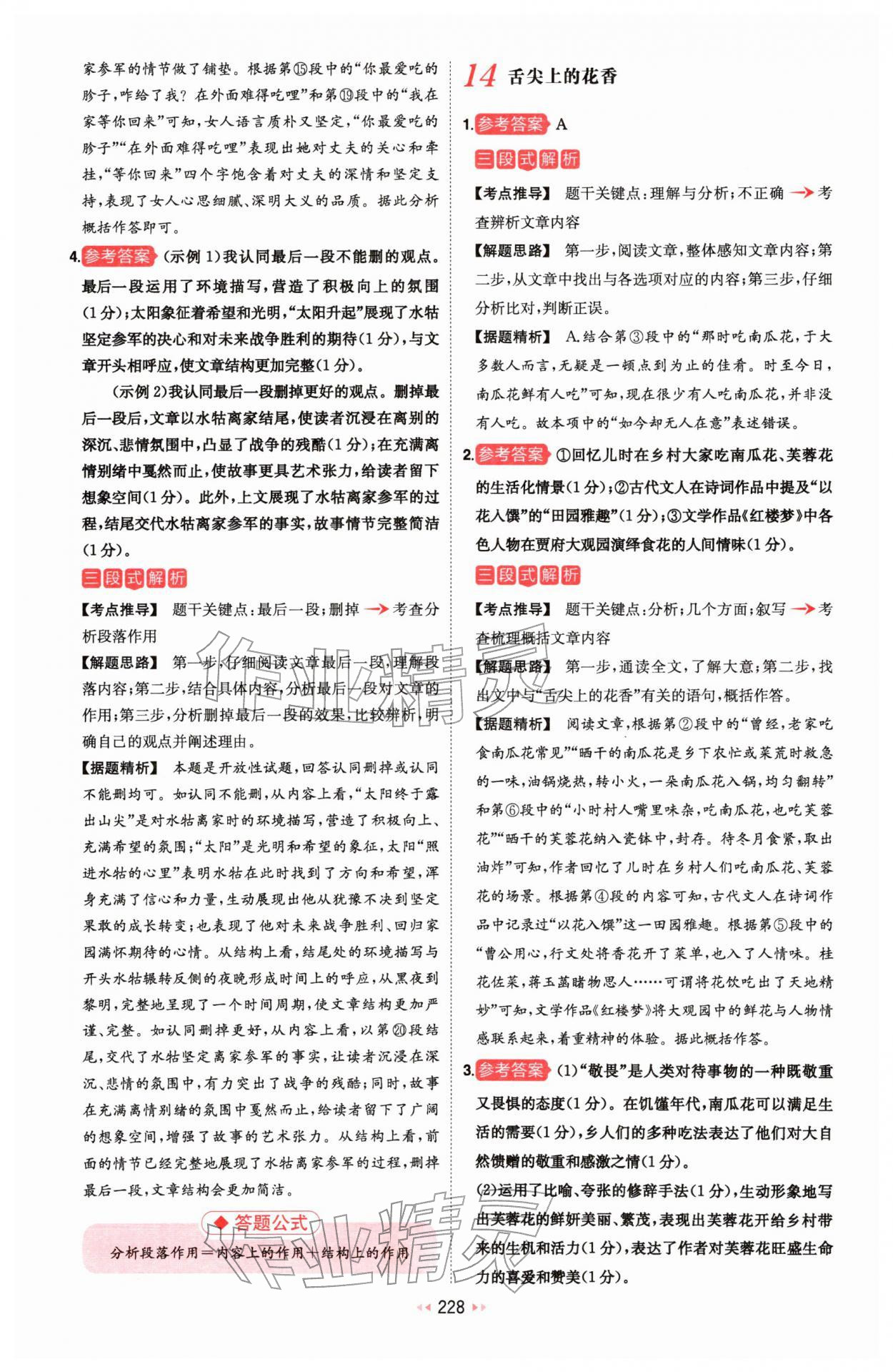2026年一本中考现代文阅读技能训练100篇 第18页
