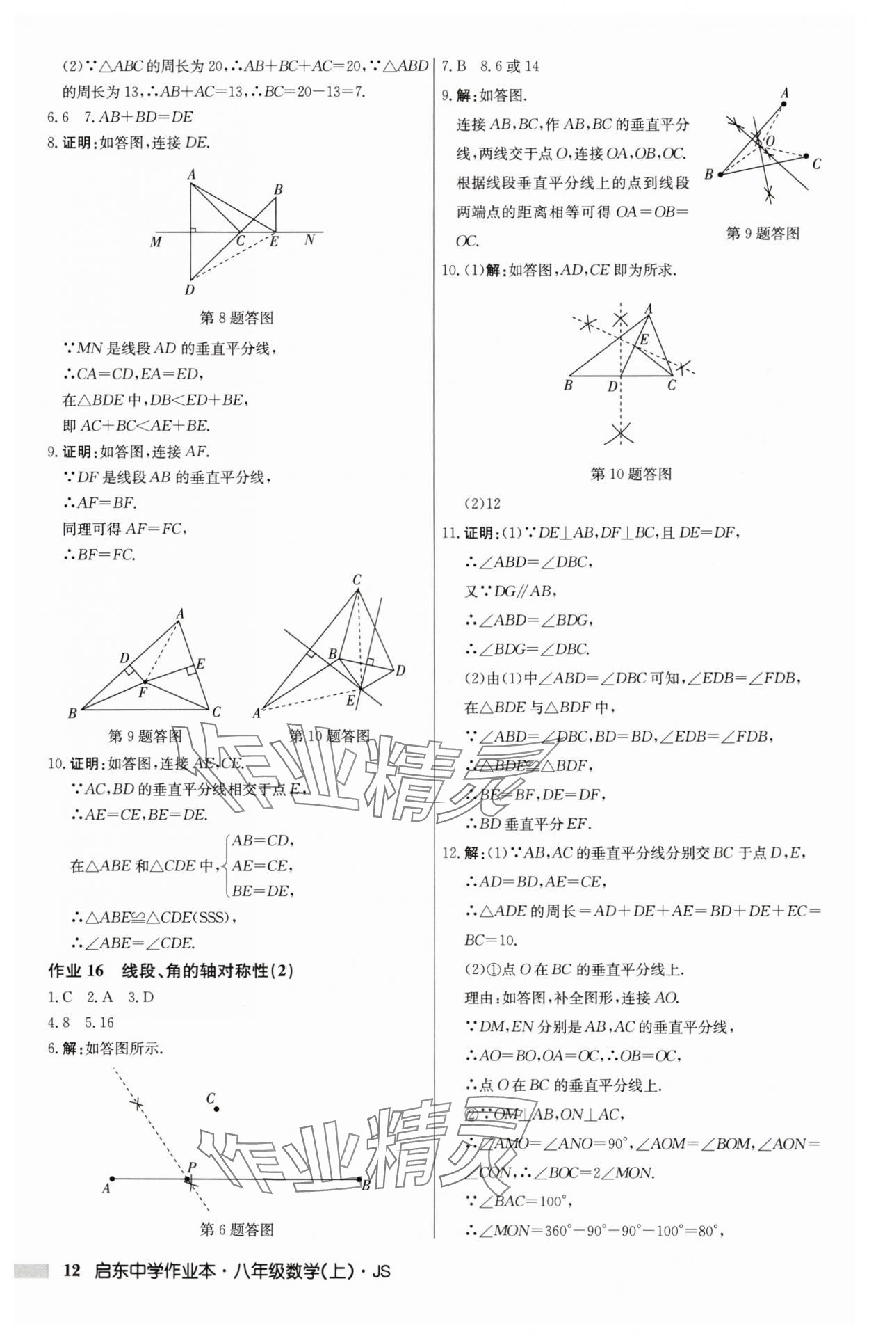 2024年启东中学作业本八年级数学上册江苏版 第12页