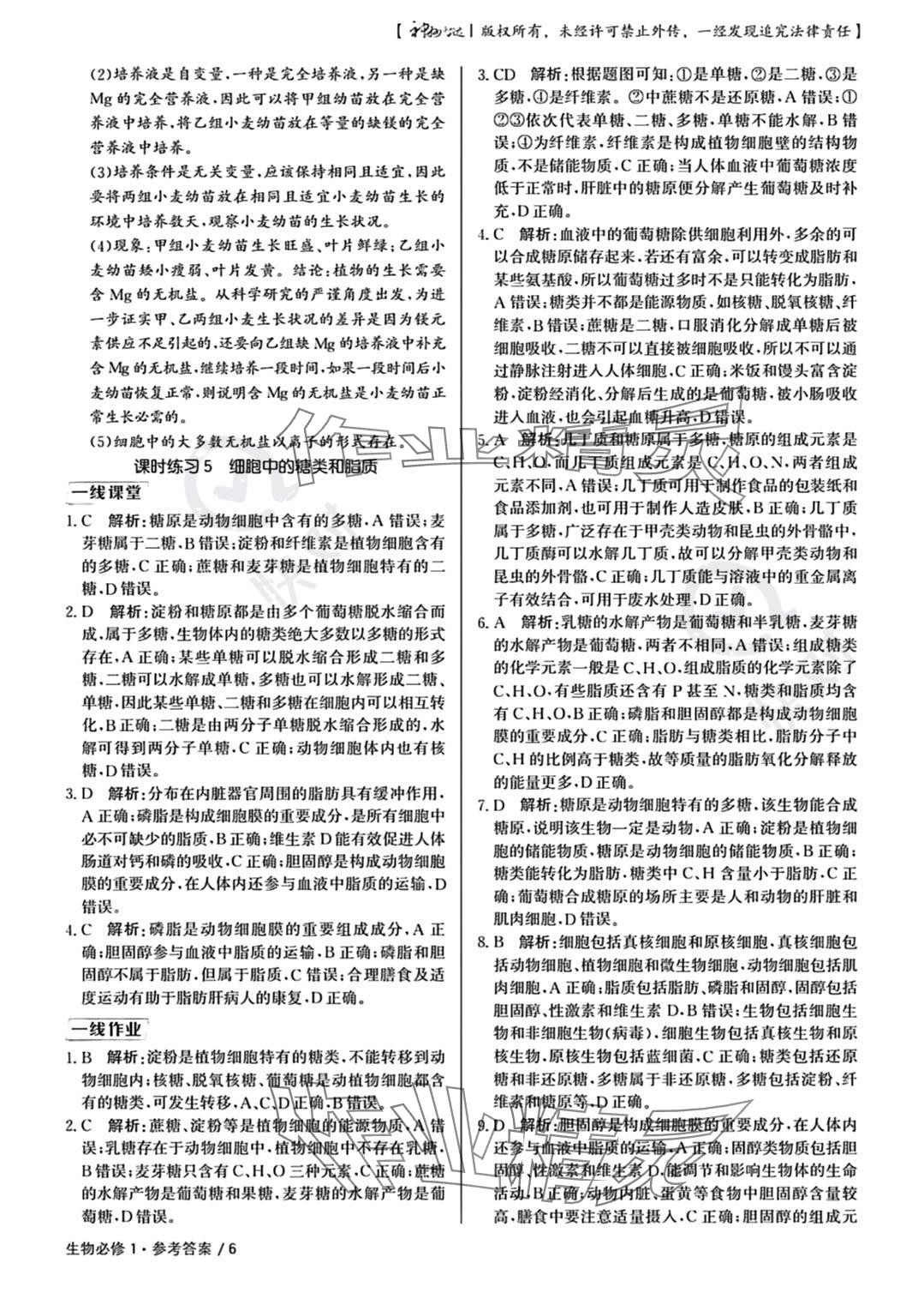 2023年一線精練高中生物必修1人教版 參考答案第6頁