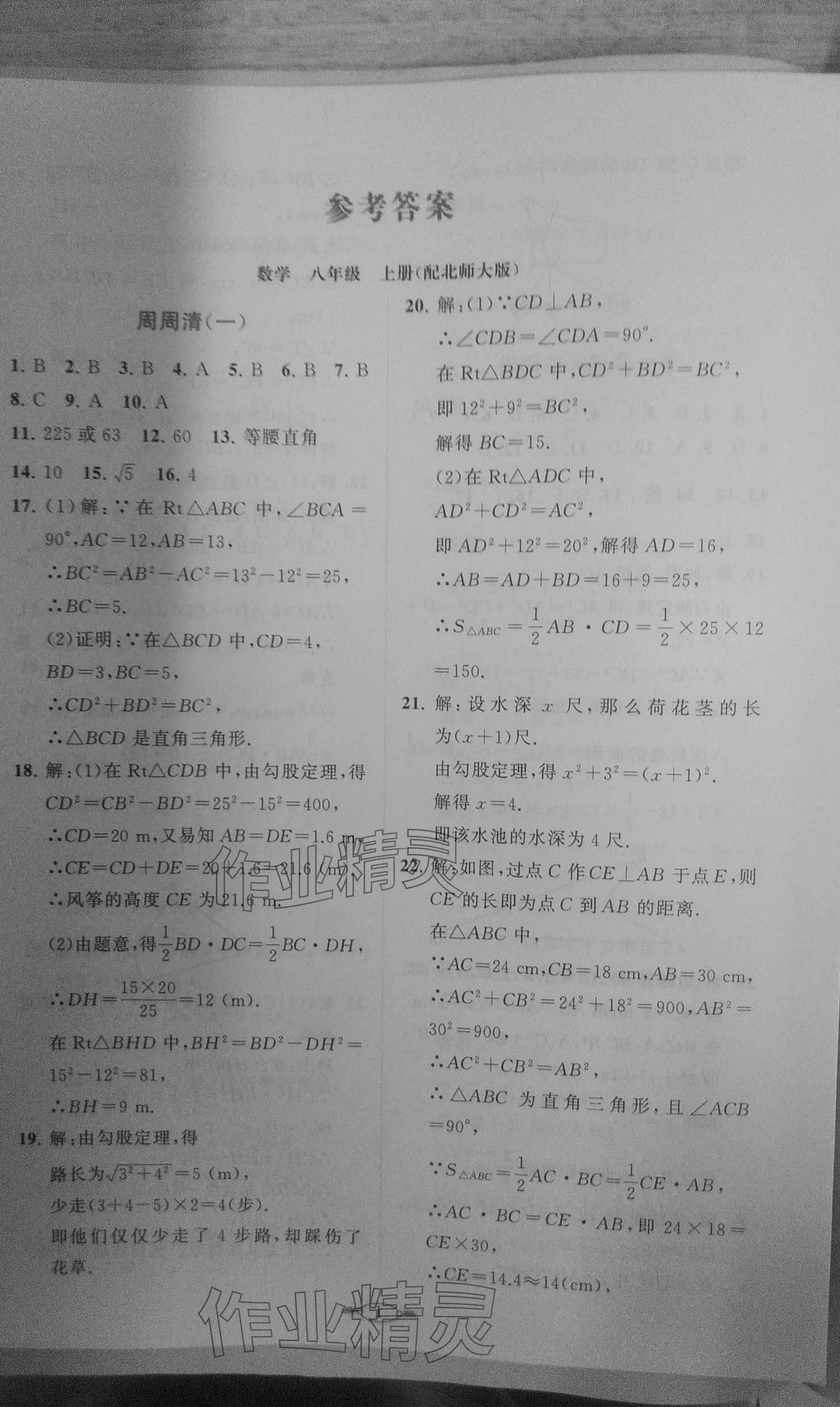 2023年课标新卷八年级数学上册北师大版 参考答案第1页