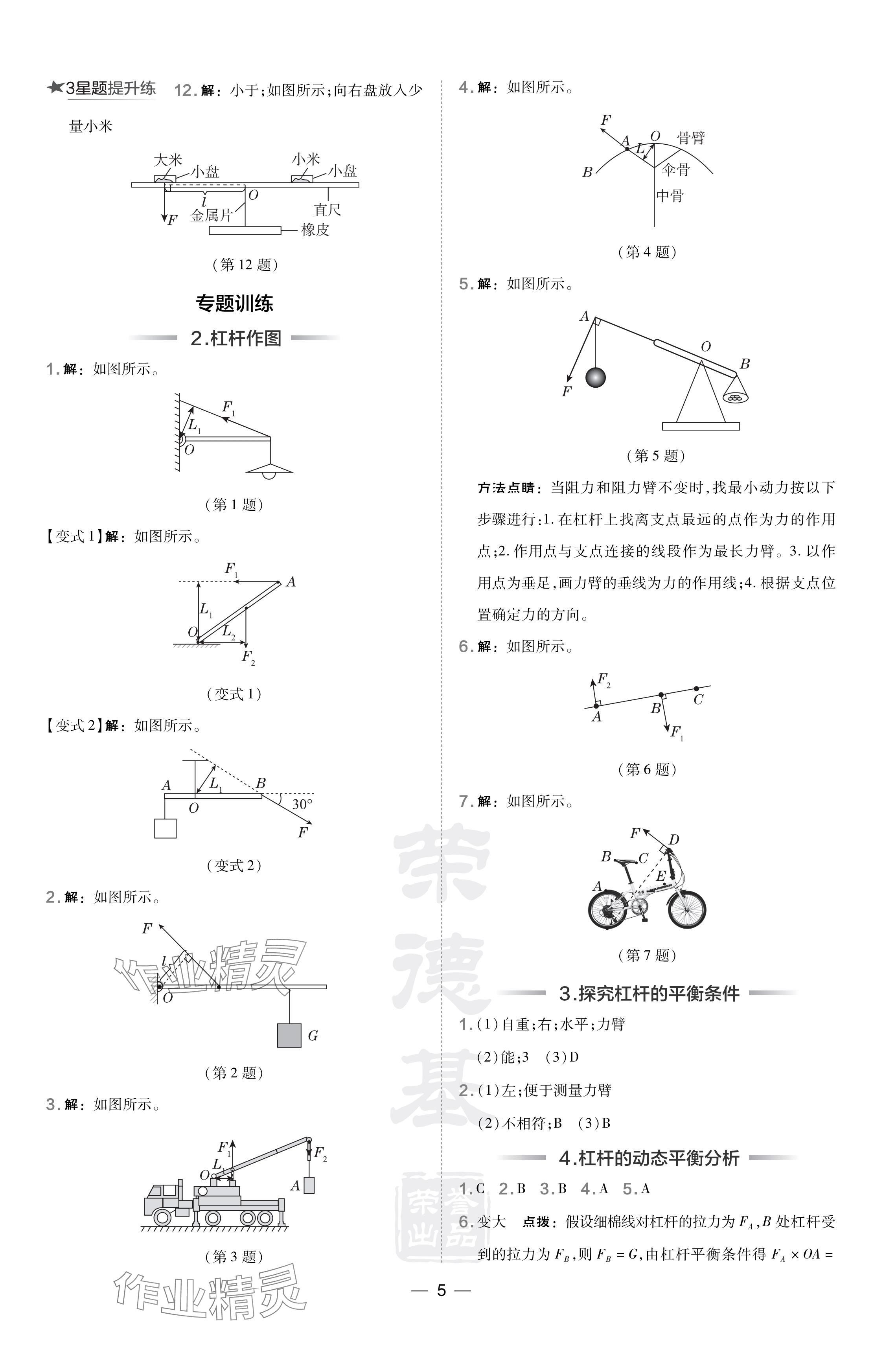 2024年點撥訓練八年級物理下冊滬粵版安徽專版 參考答案第5頁