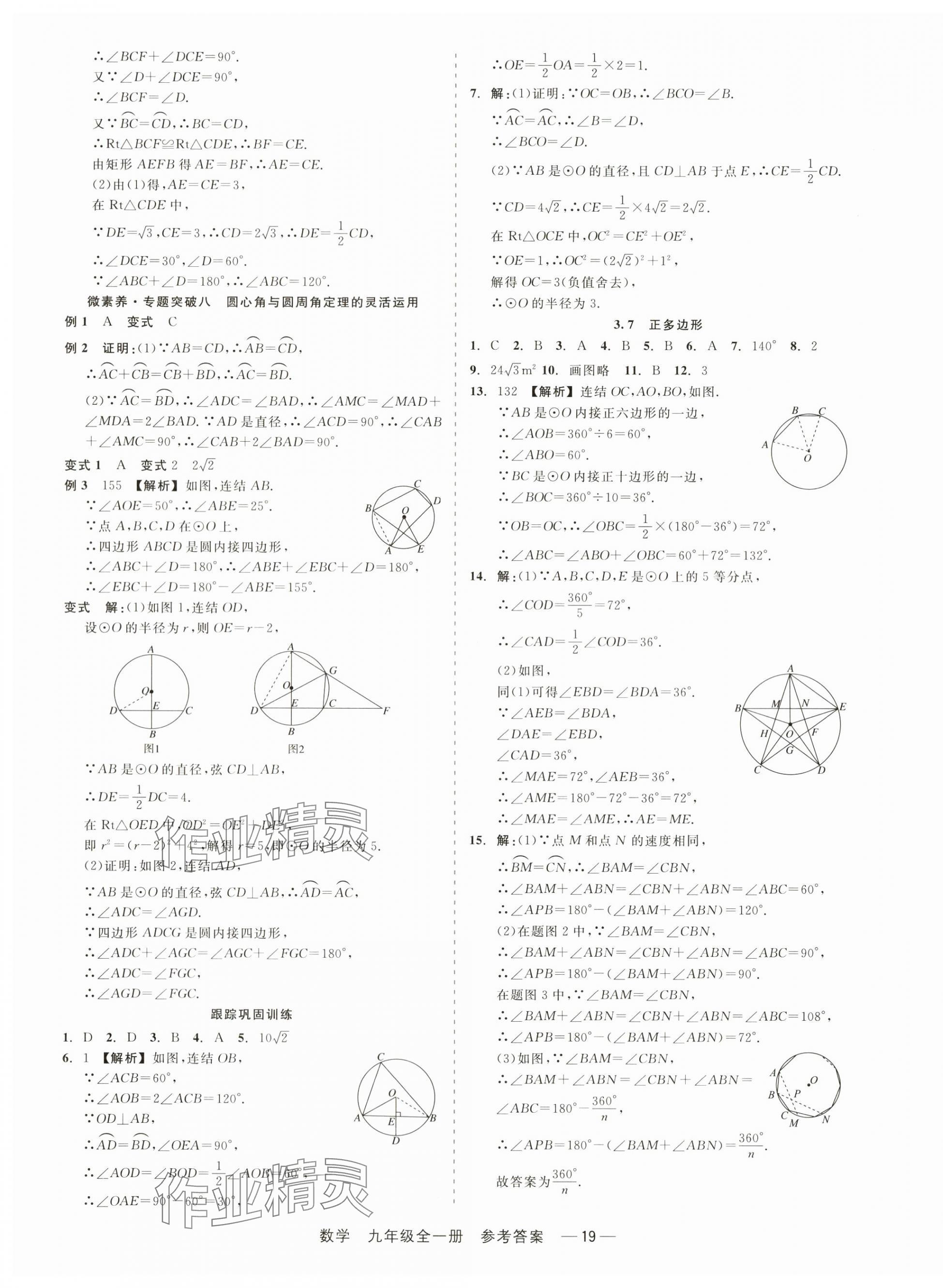 2024年精彩三年就練這一本九年級(jí)數(shù)學(xué)全一冊(cè)浙教版 第19頁(yè)