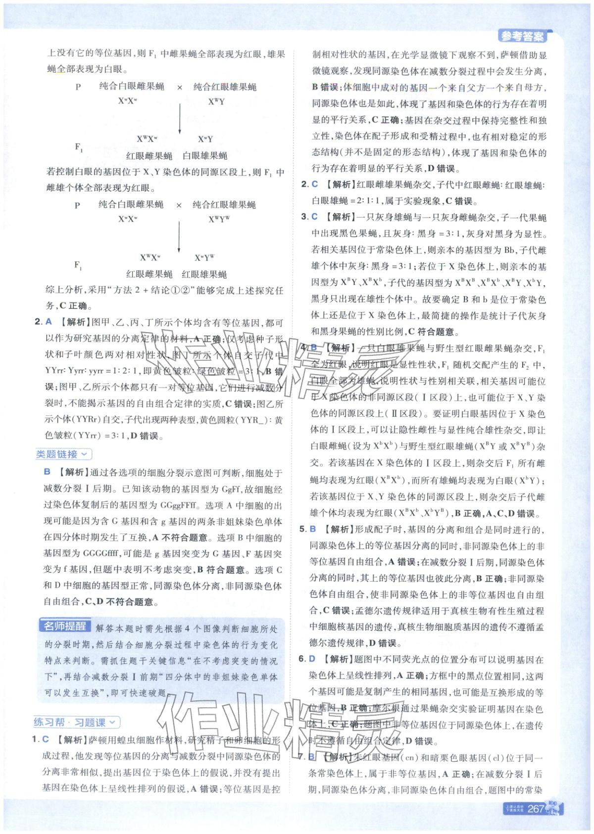 2025年教材幫高中生物必修第二冊人教版 第15頁