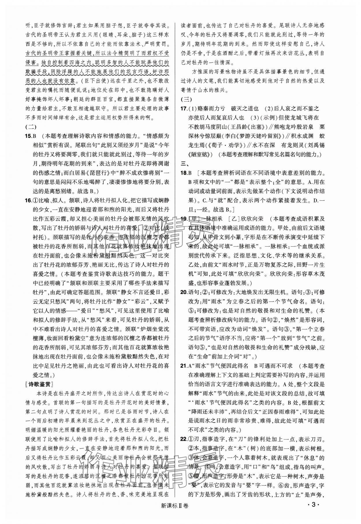 2025年高考語文核按鈕綜合訓(xùn)練Ⅱ卷 第3頁