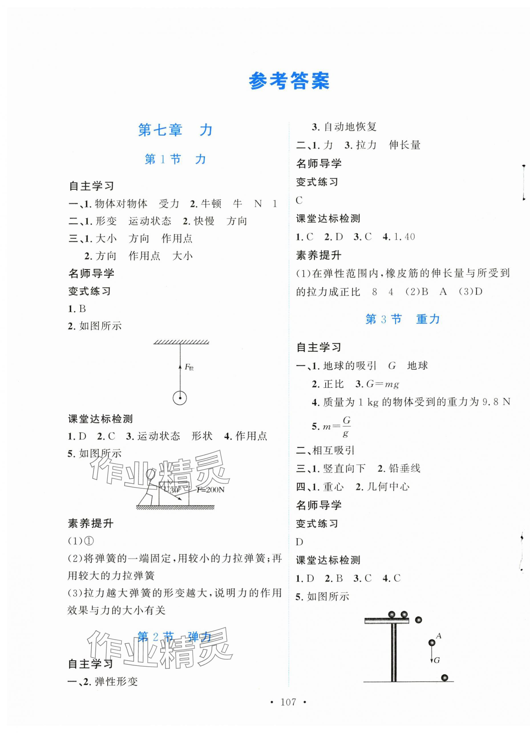 2024年實(shí)驗(yàn)教材新學(xué)案八年級(jí)物理下冊(cè)人教版 第1頁(yè)