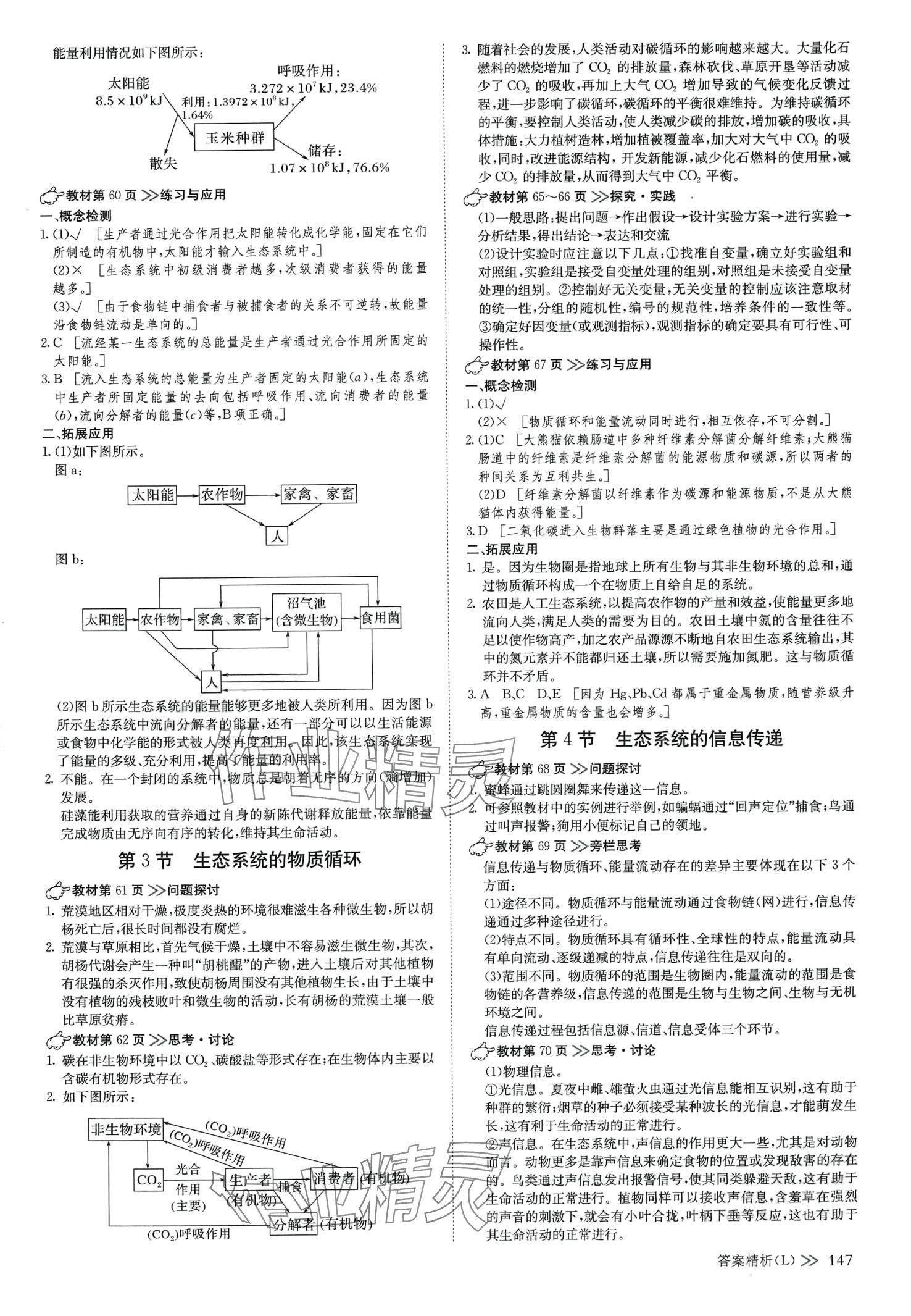 2024年創(chuàng)新設計高中生物選擇性必修2人教版 參考答案第6頁