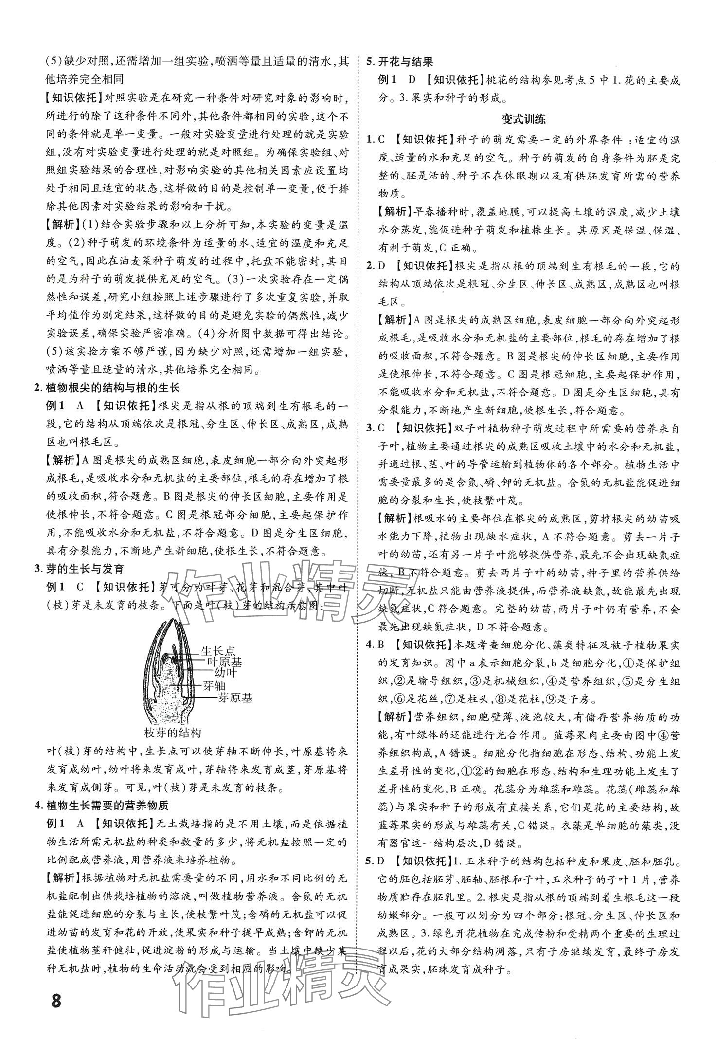 2024年一步名校中考总复习生物&nbsp;第8页