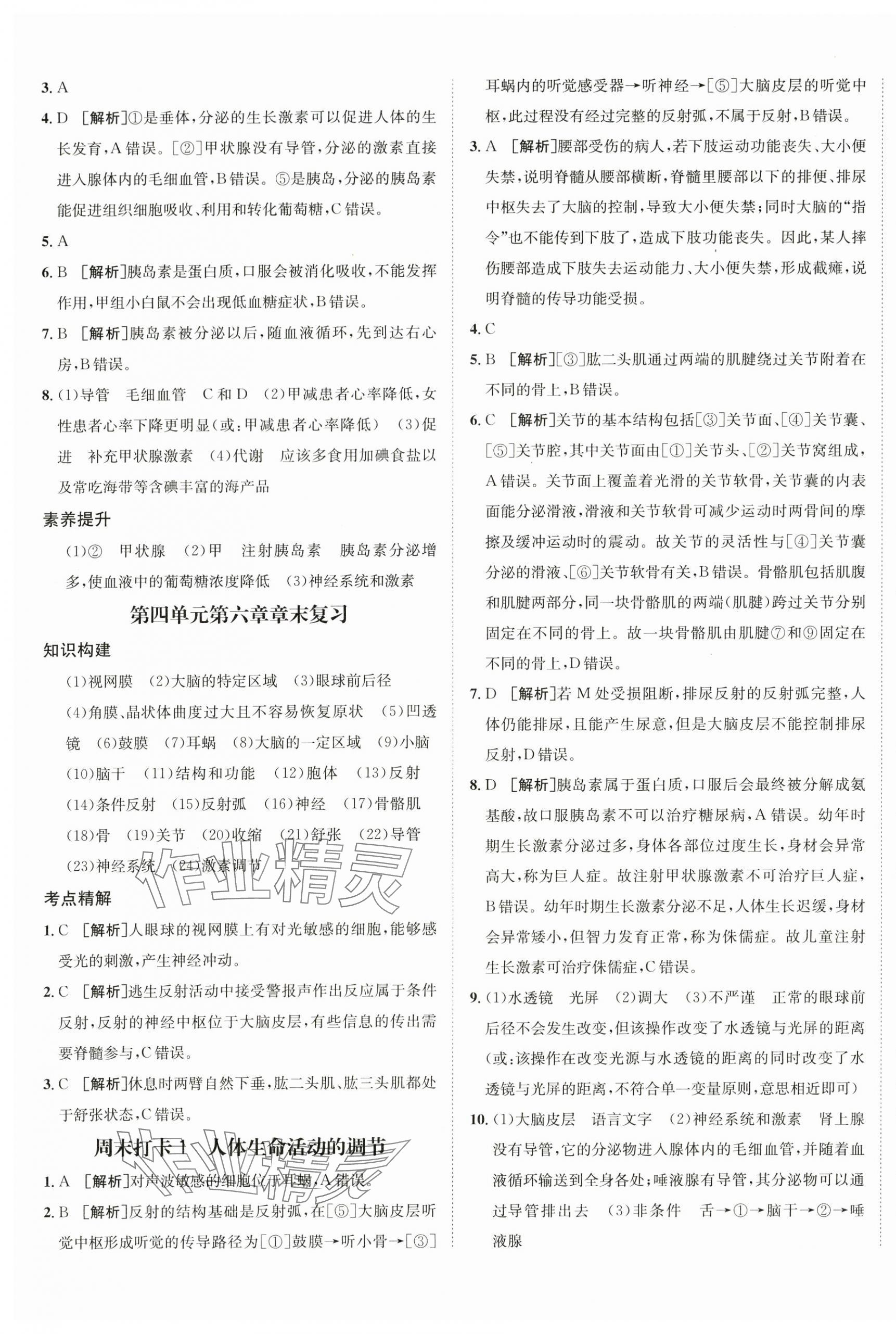 2025年同行學(xué)案八年級生物全一冊人教版 第5頁