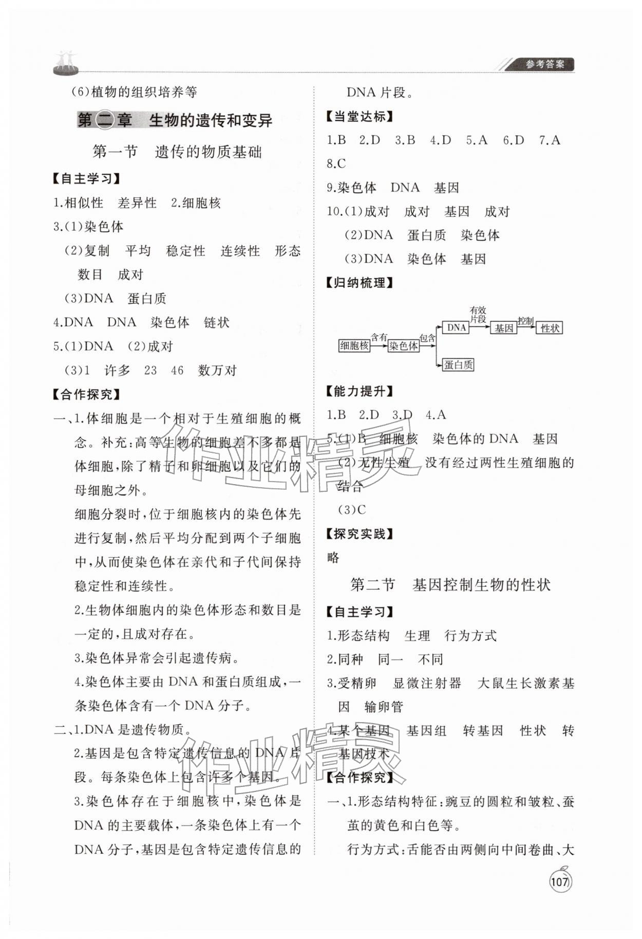 2026年同步练习册山东友谊出版社八年级生物下册鲁科版五四制&nbsp;参考答案第4页