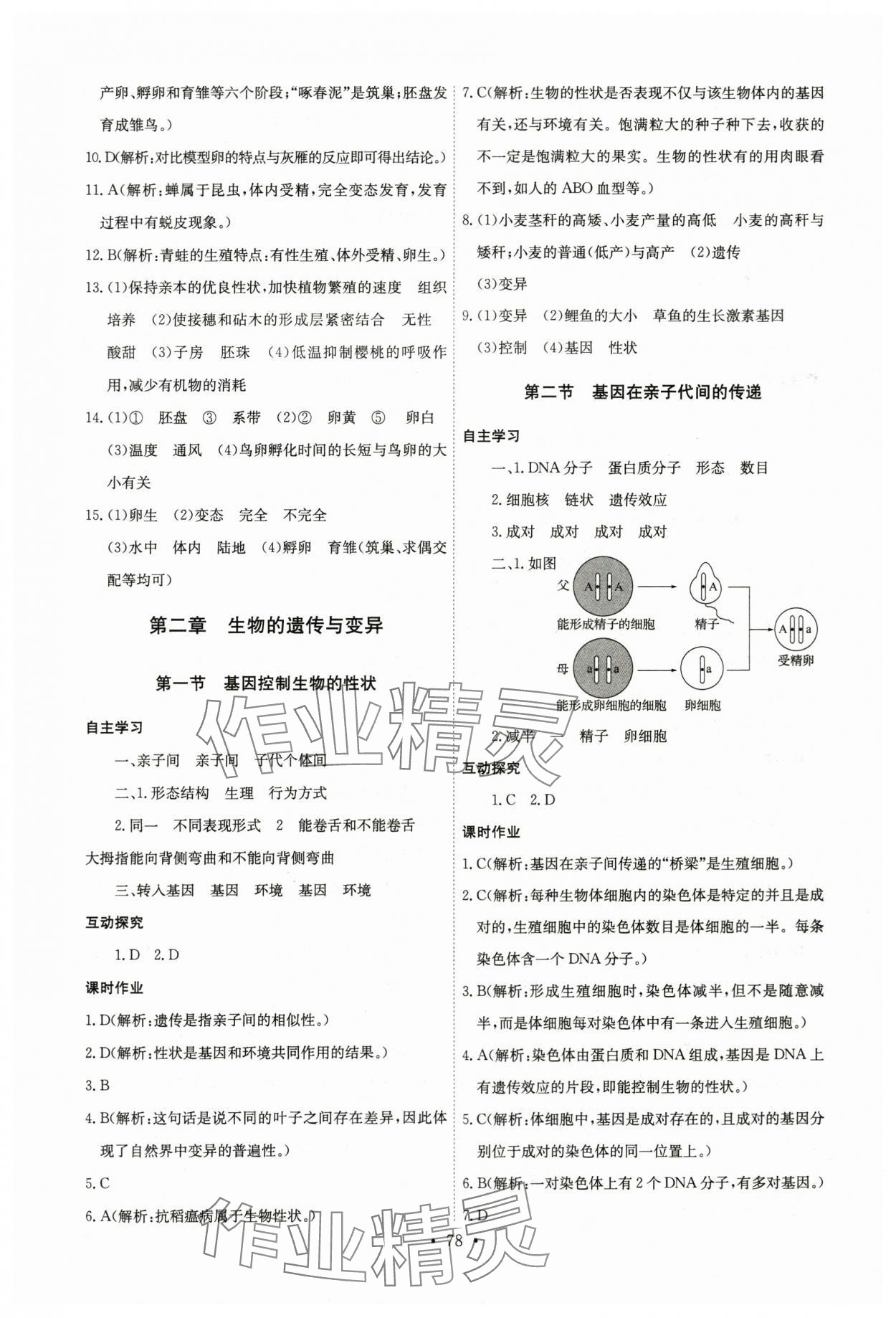 2024年長江全能學(xué)案同步練習(xí)冊八年級(jí)生物下冊人教版 第4頁