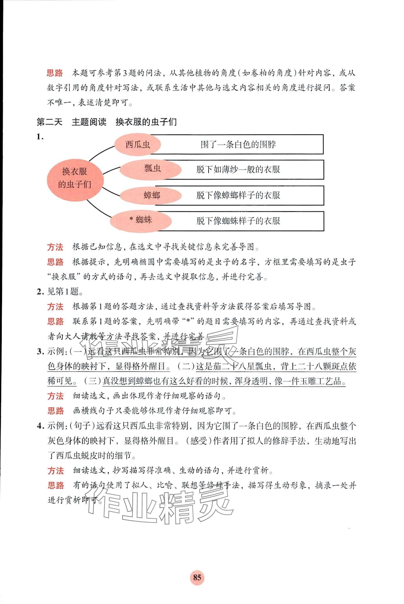 2024年知行合寒假阅读与习作四年级语文 第3页