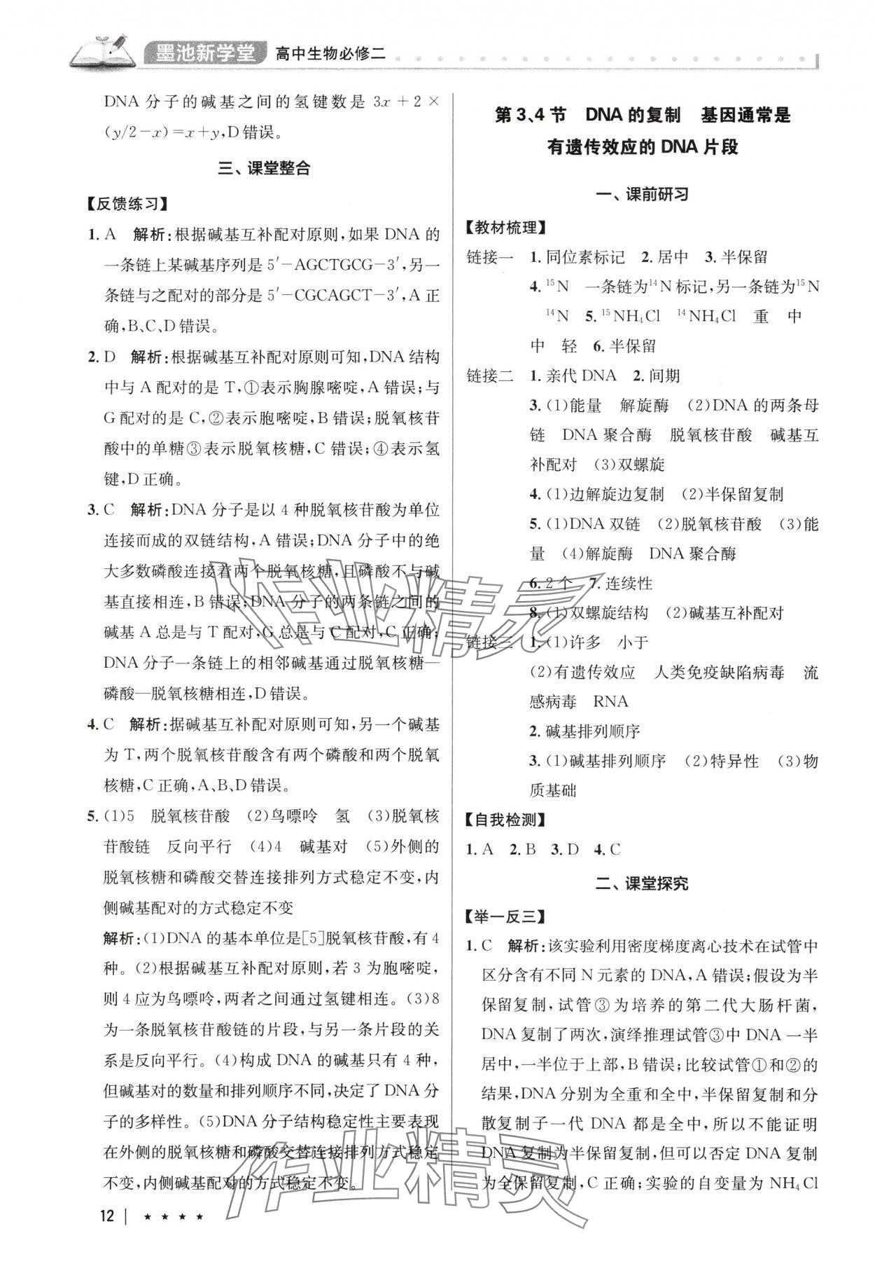 2025年墨池新學堂高中生物必修2人教版 參考答案第12頁