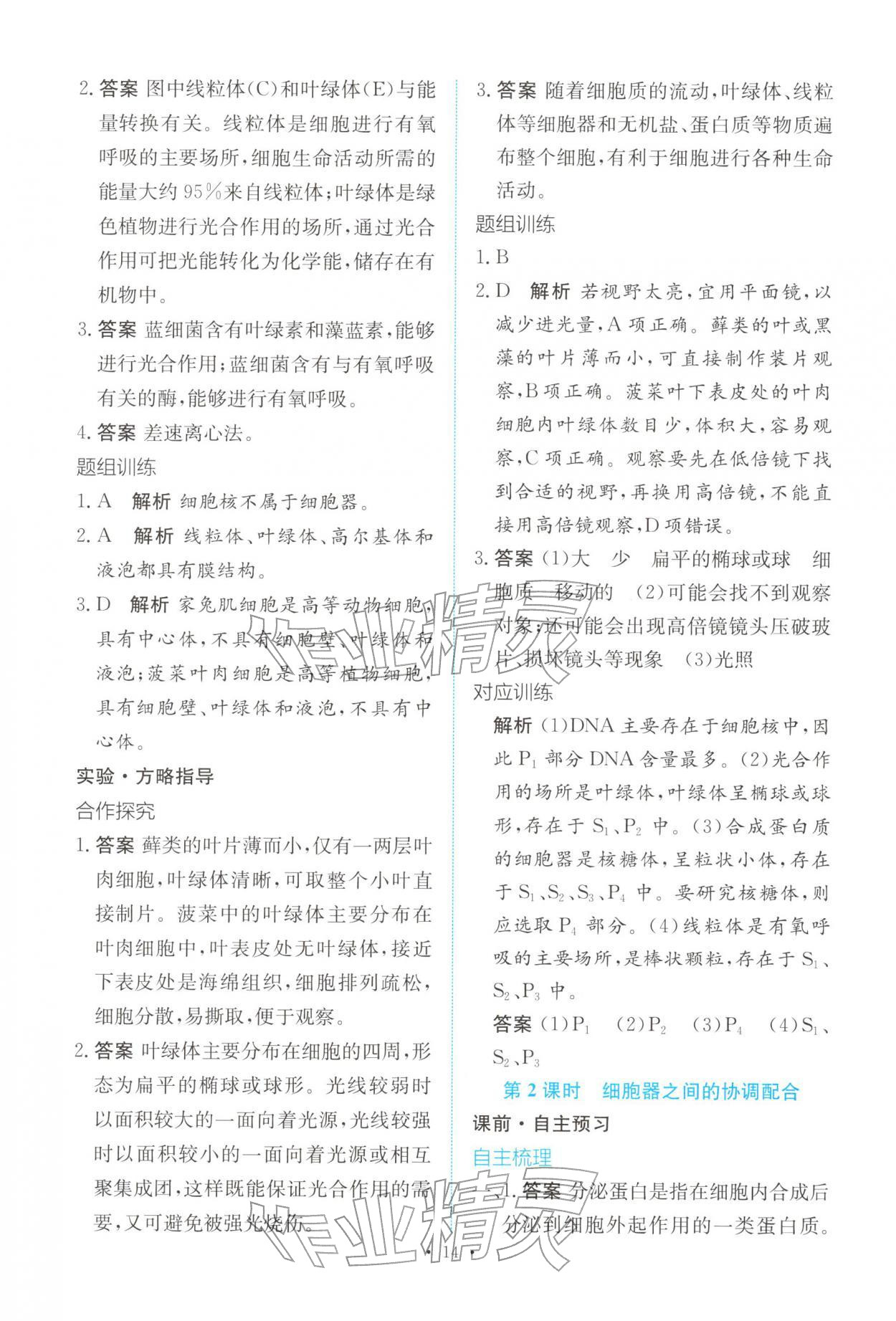 2025年能力培养与测试高中生物必修1人教版 参考答案第13页