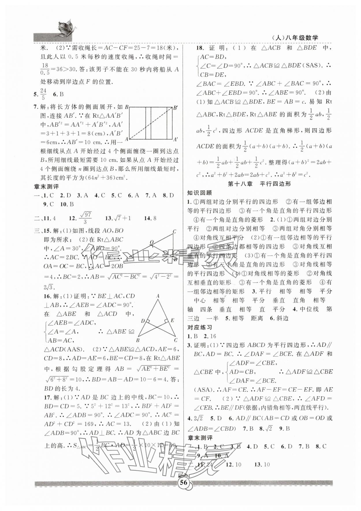 2025年暑假生活新疆文化出版社八年级数学人教版 第2页