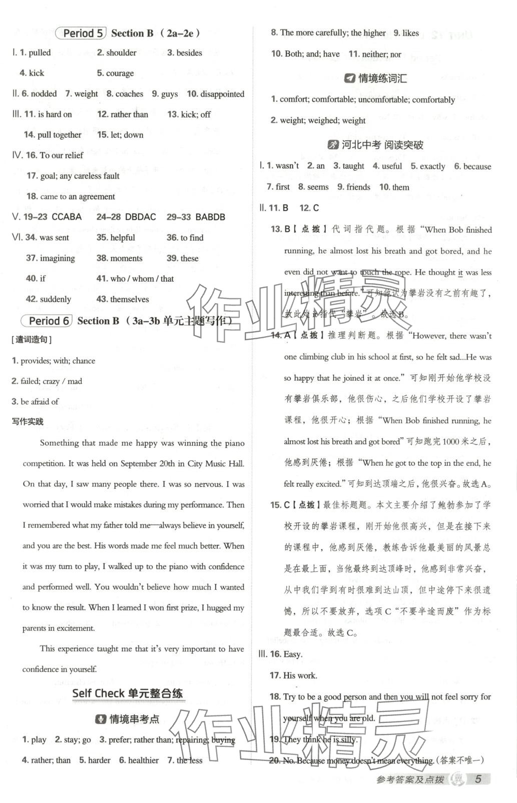 2025年点拨训练九年级英语下册人教版河北专版 第5页