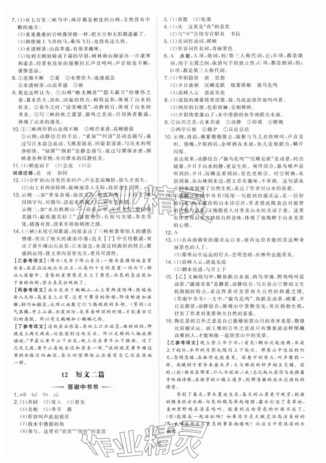 2025年点拨训练八年级语文上册人教版 第5页