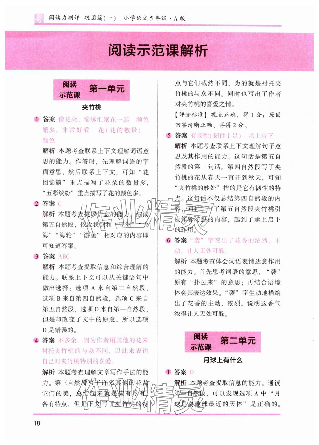 2023年木頭馬閱讀力測(cè)評(píng)小學(xué)語(yǔ)文五年級(jí)人教版培優(yōu)篇A版廣東專版 參考答案第3頁(yè)