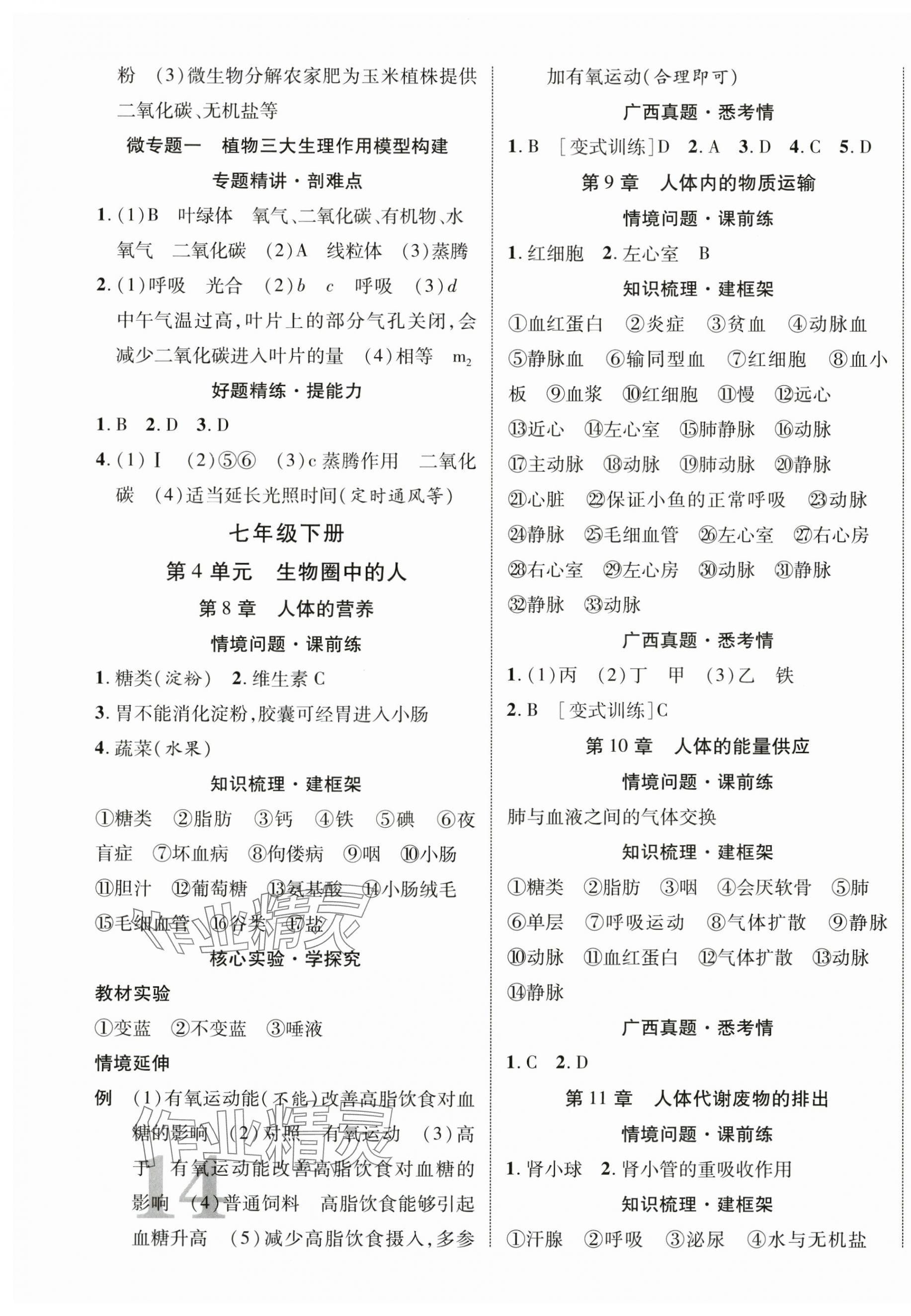 2025年優(yōu)化指導(dǎo)生物北師大版廣西專版 第3頁