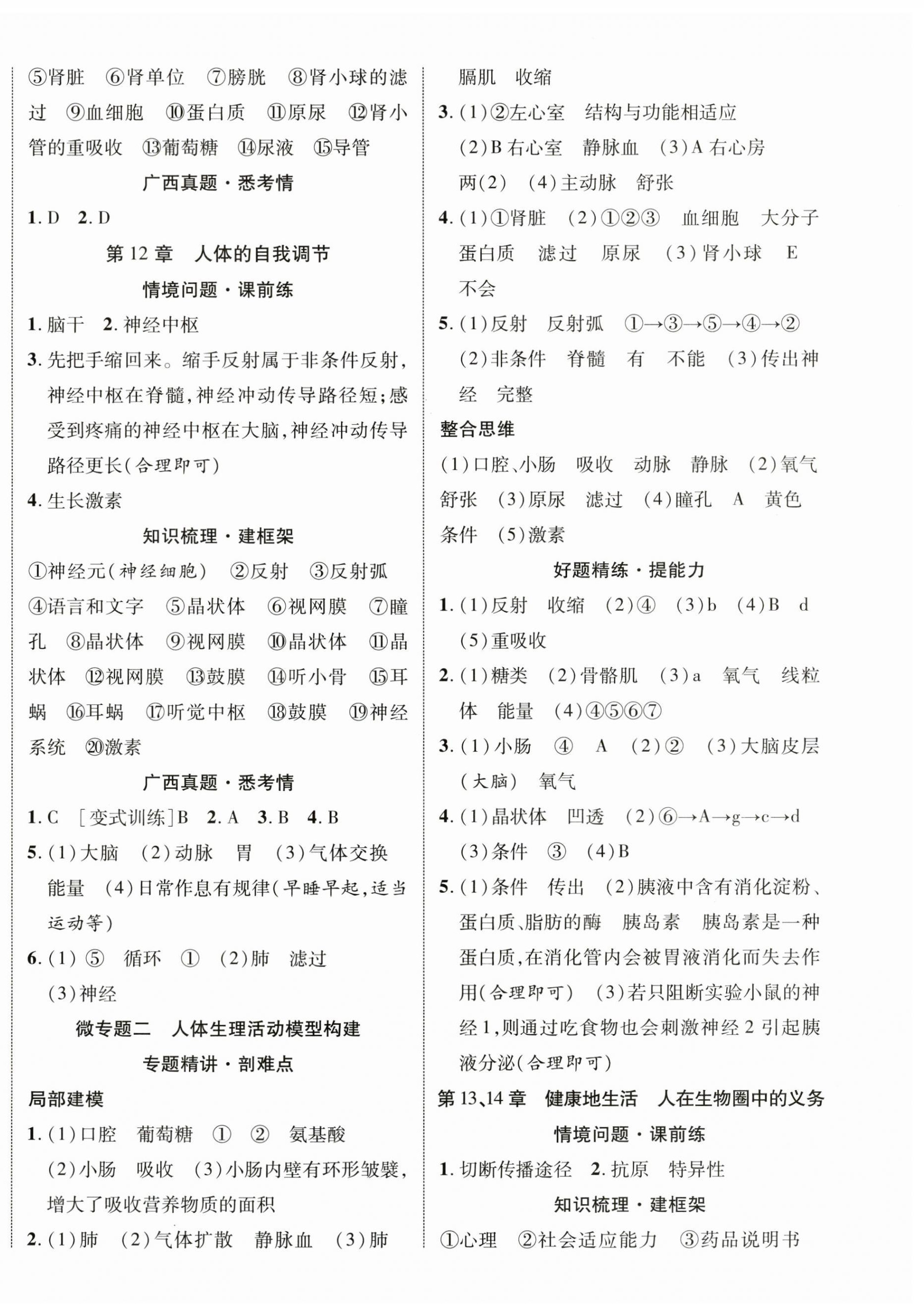 2025年優(yōu)化指導(dǎo)生物北師大版廣西專版 第4頁(yè)