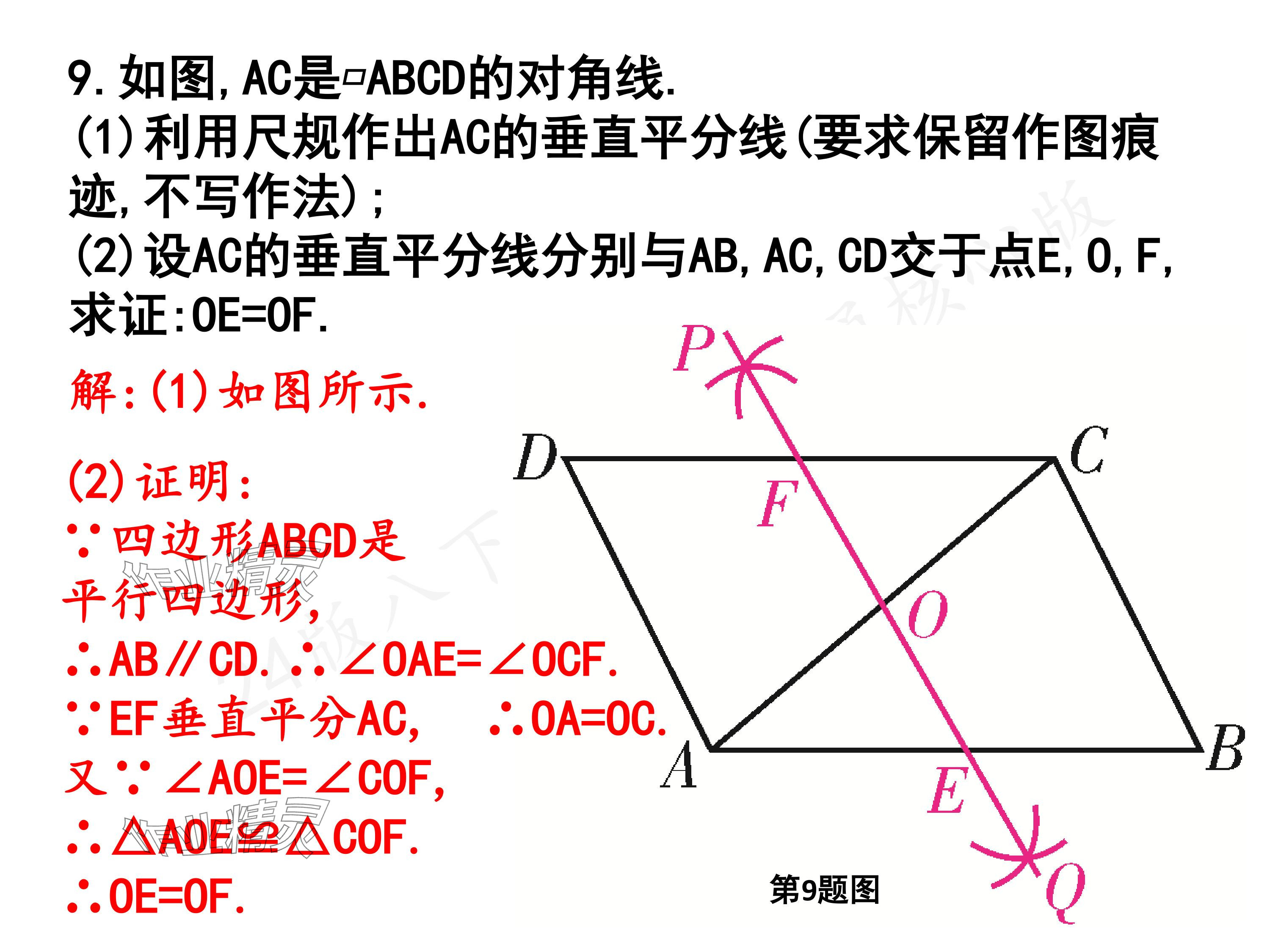 2024年一本通武漢出版社八年級(jí)數(shù)學(xué)下冊(cè)北師大版核心板 參考答案第11頁(yè)