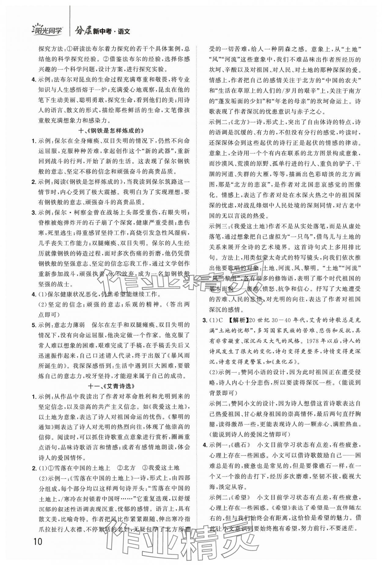 2024年陽光同學(xué)分層新中考語文福建專版 參考答案第10頁